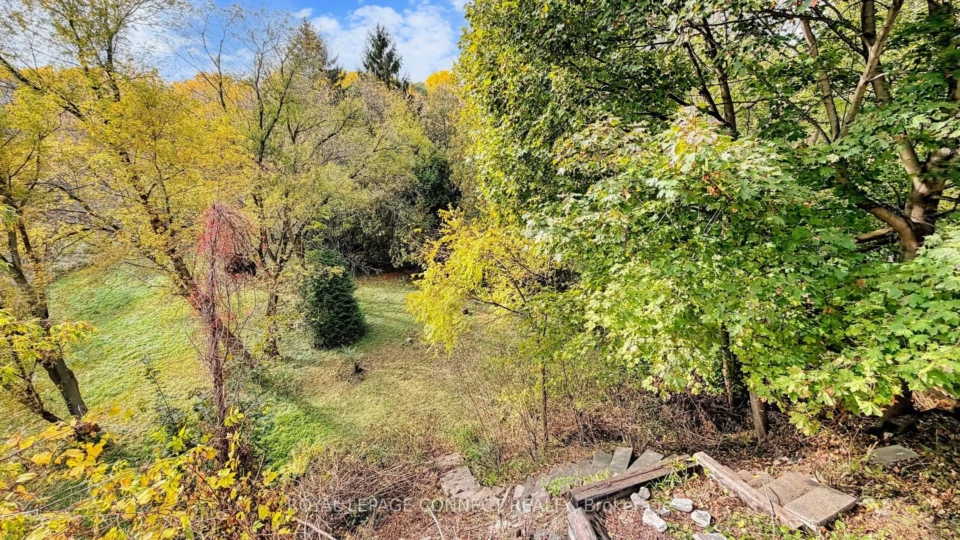 1406 Old Forest Road