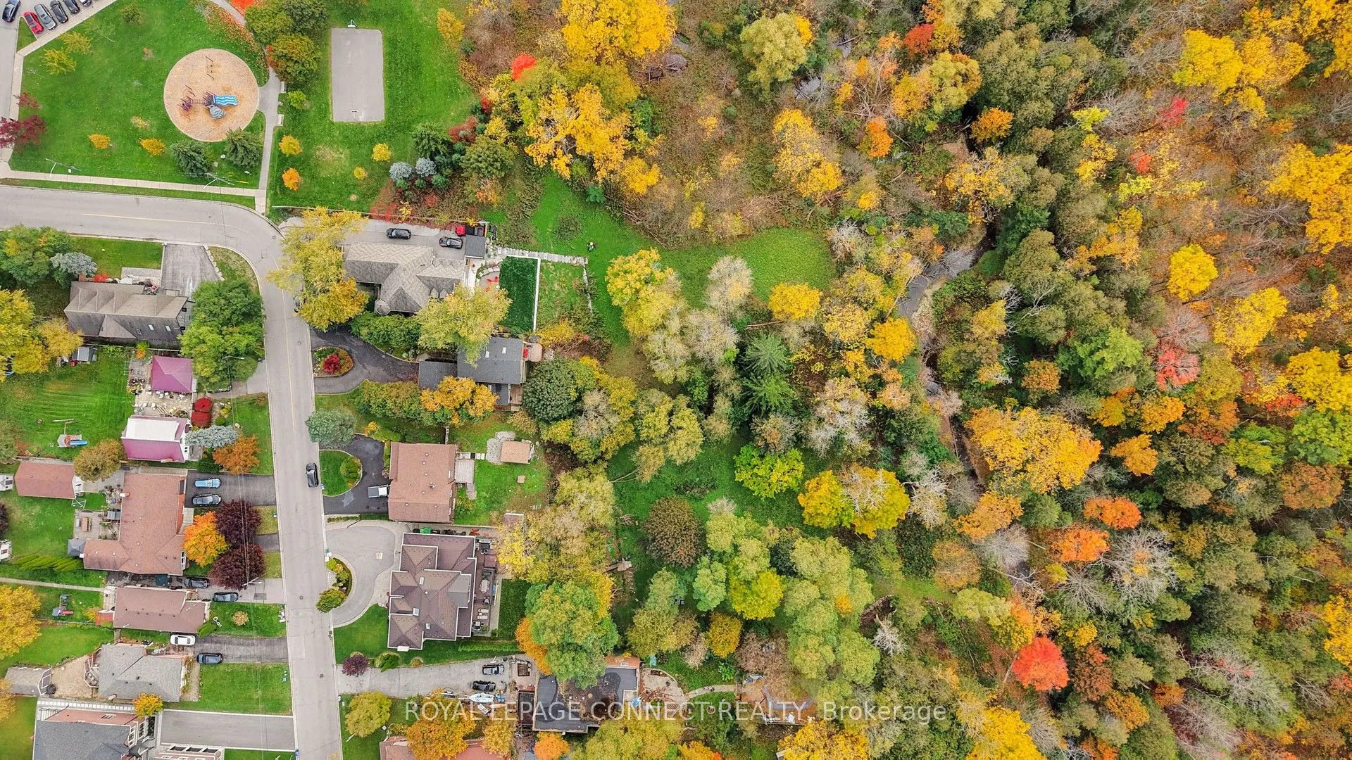 1406 Old Forest Road