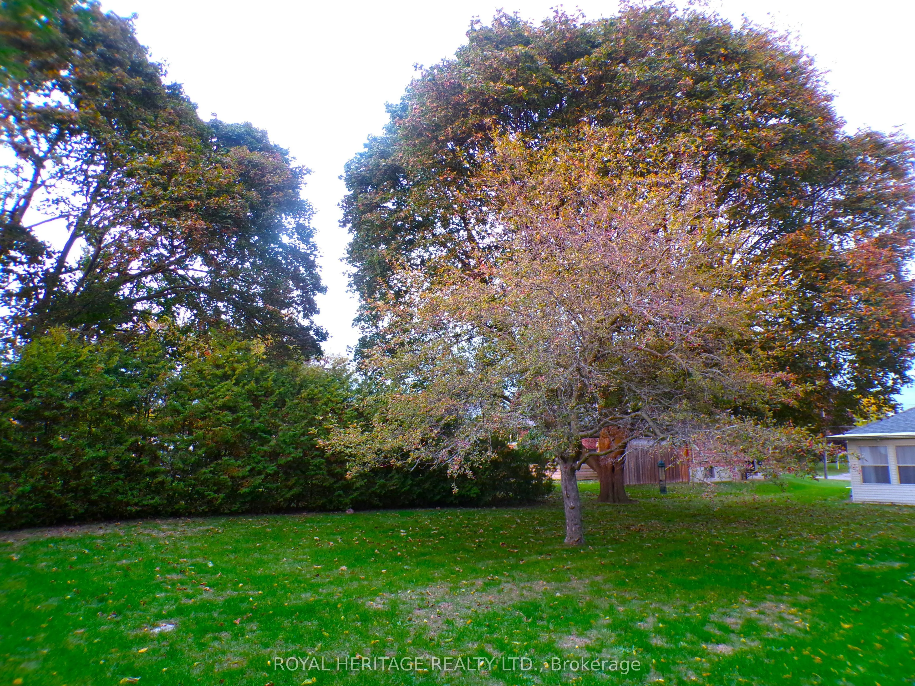 12 Darlington Boulevard