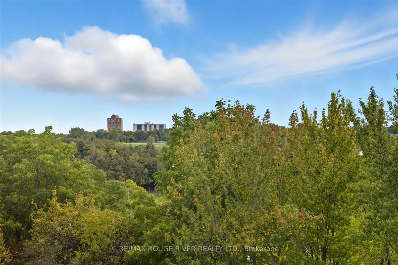 452 Scarborough Golf Road, #513