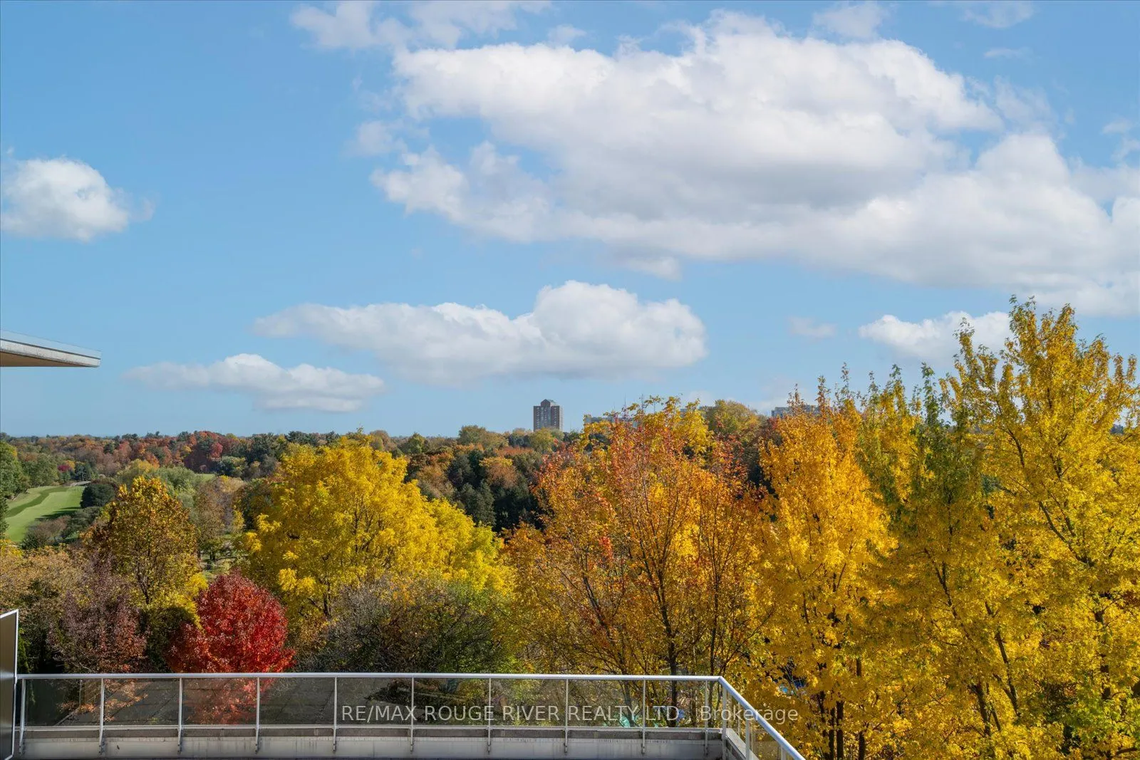 452 Scarborough Golf Road, #513