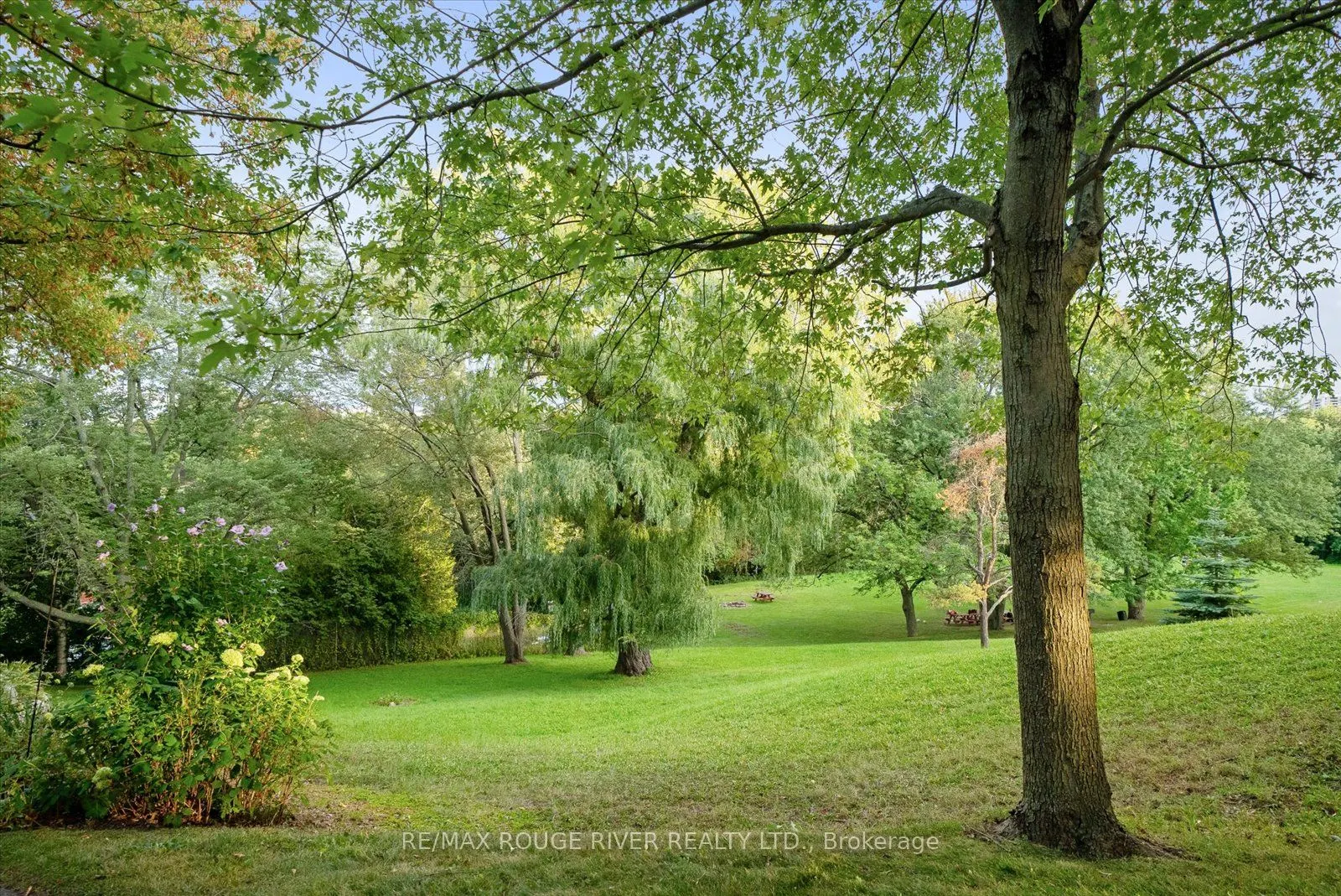 452 Scarborough Golf Road, #513