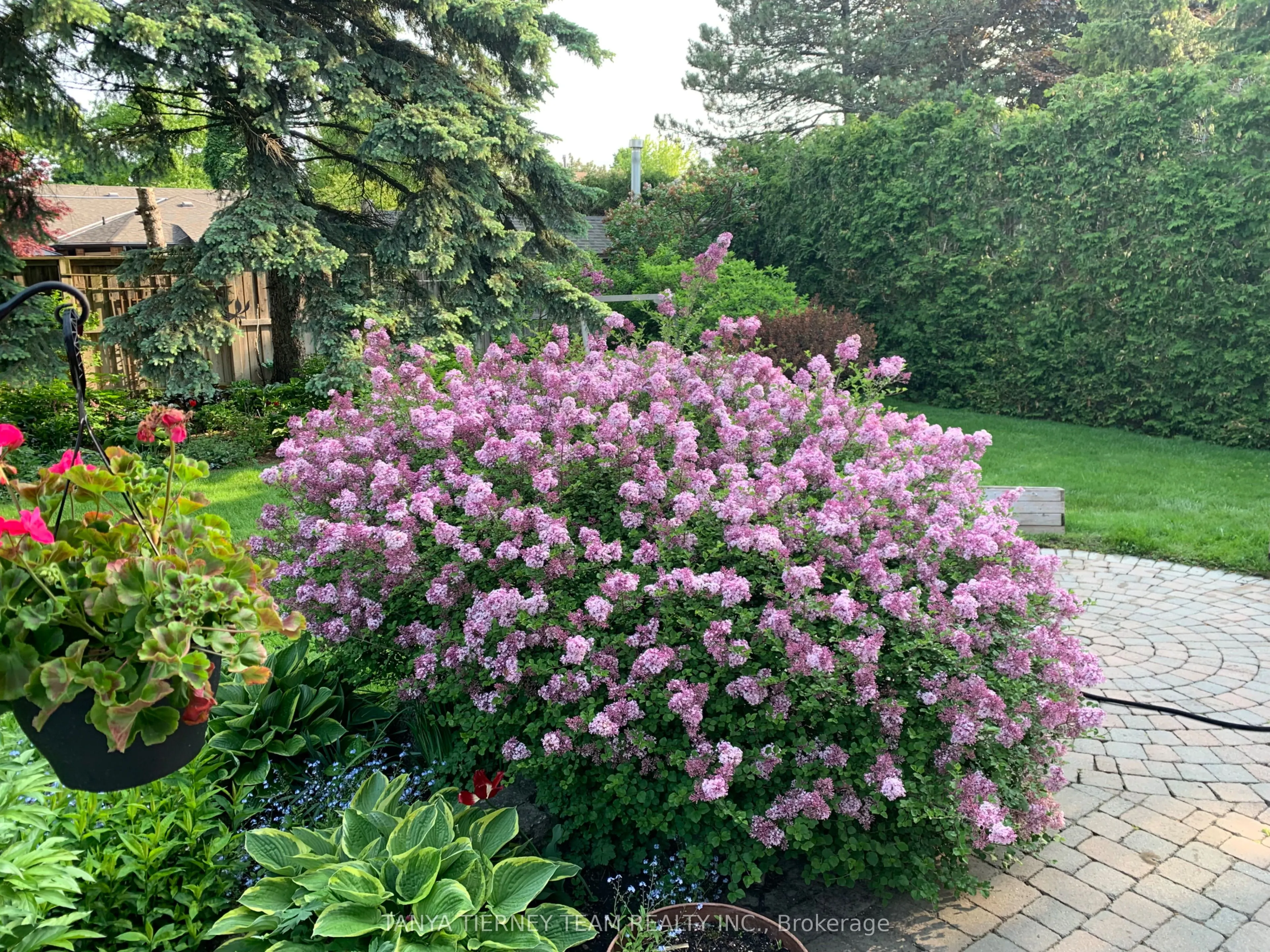 6 Lyndhurst Crescent