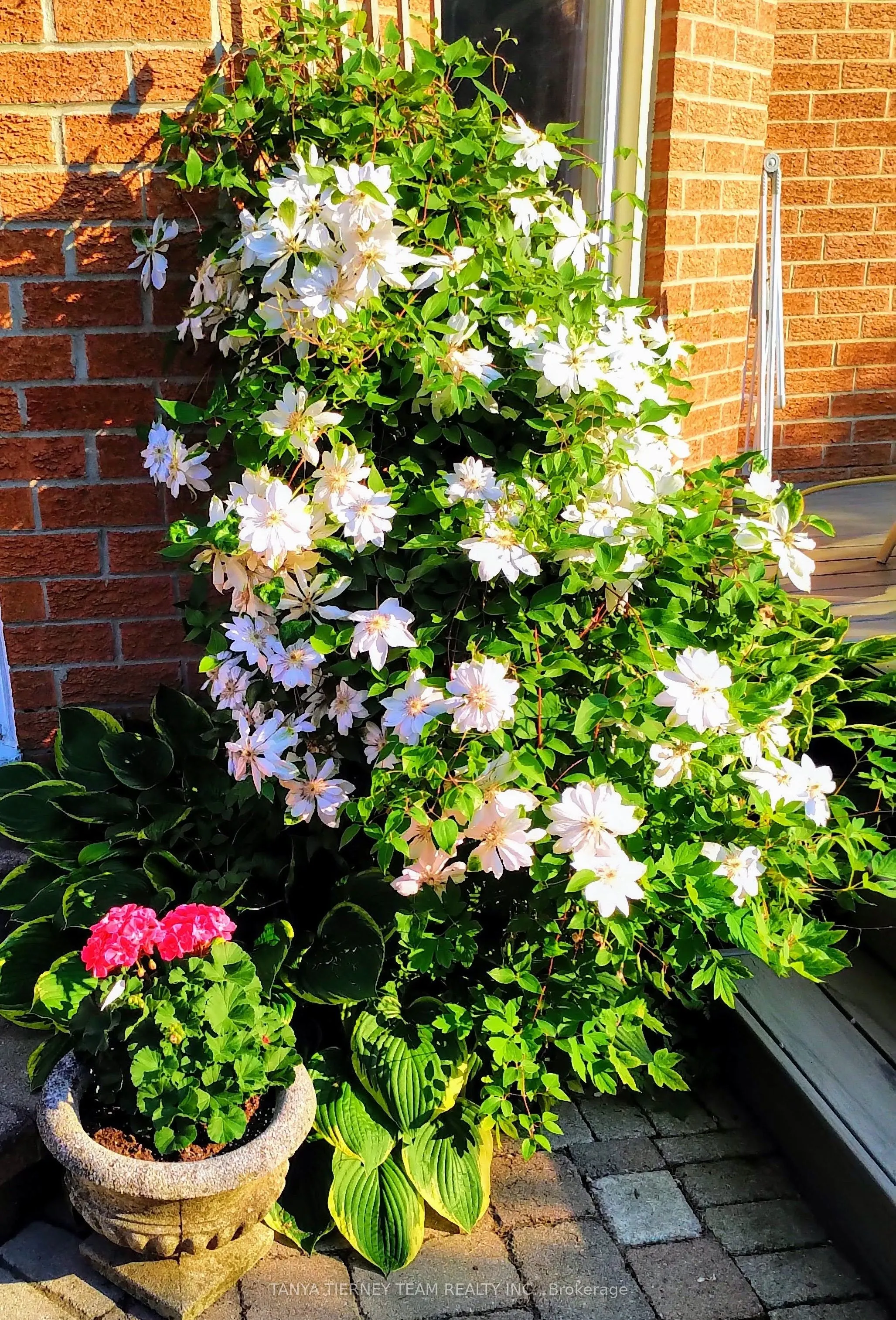 6 Lyndhurst Crescent