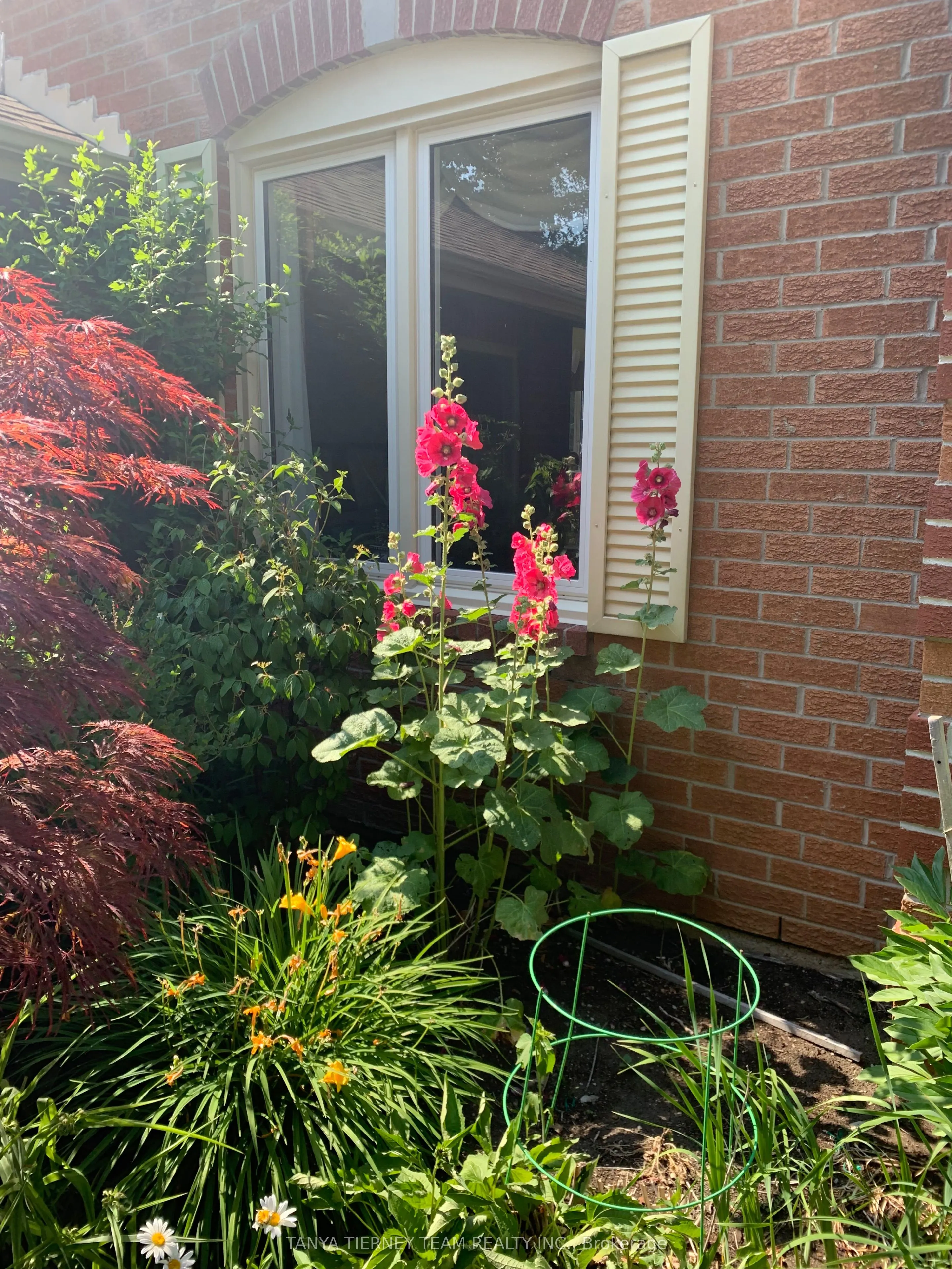 6 Lyndhurst Crescent