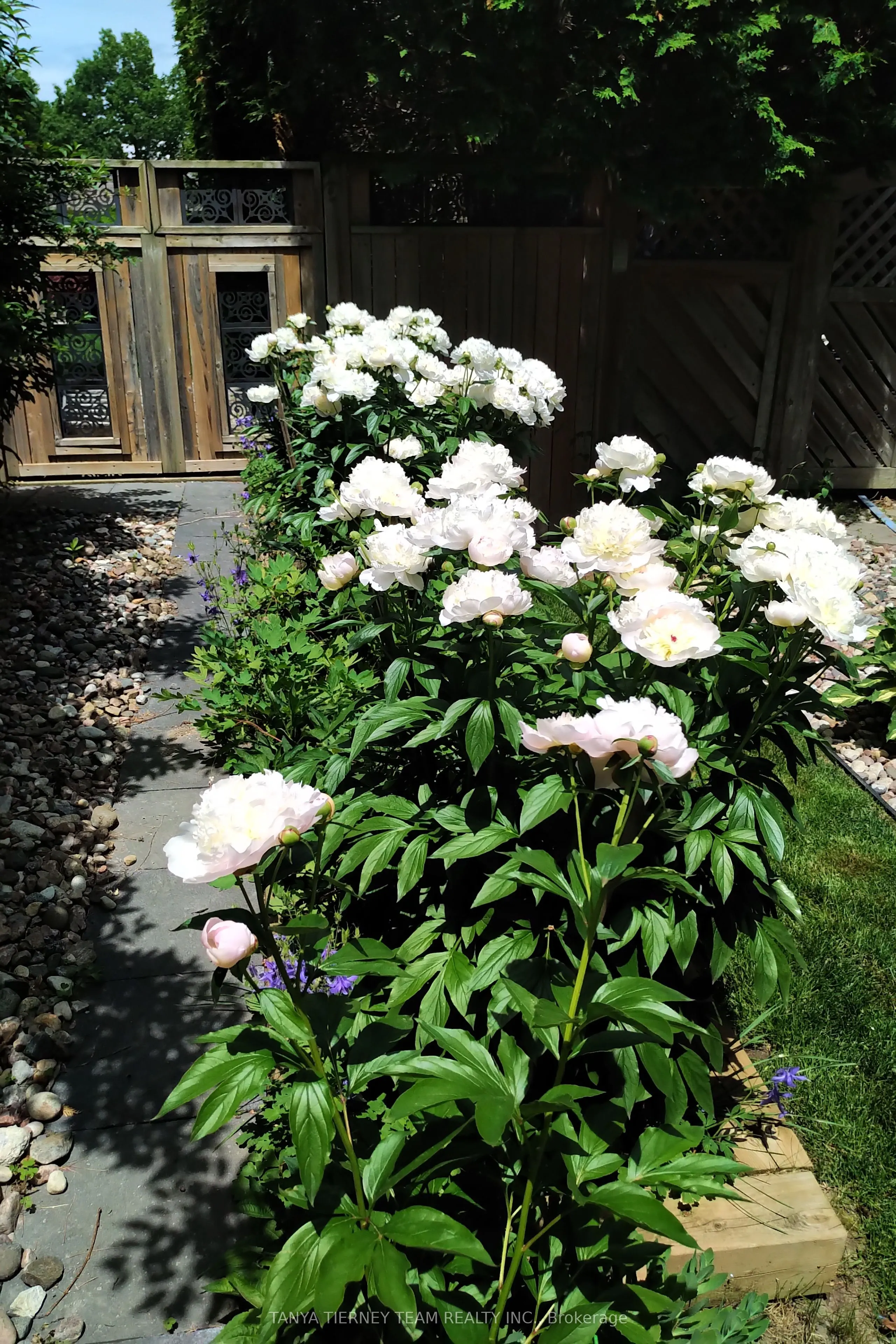 6 Lyndhurst Crescent