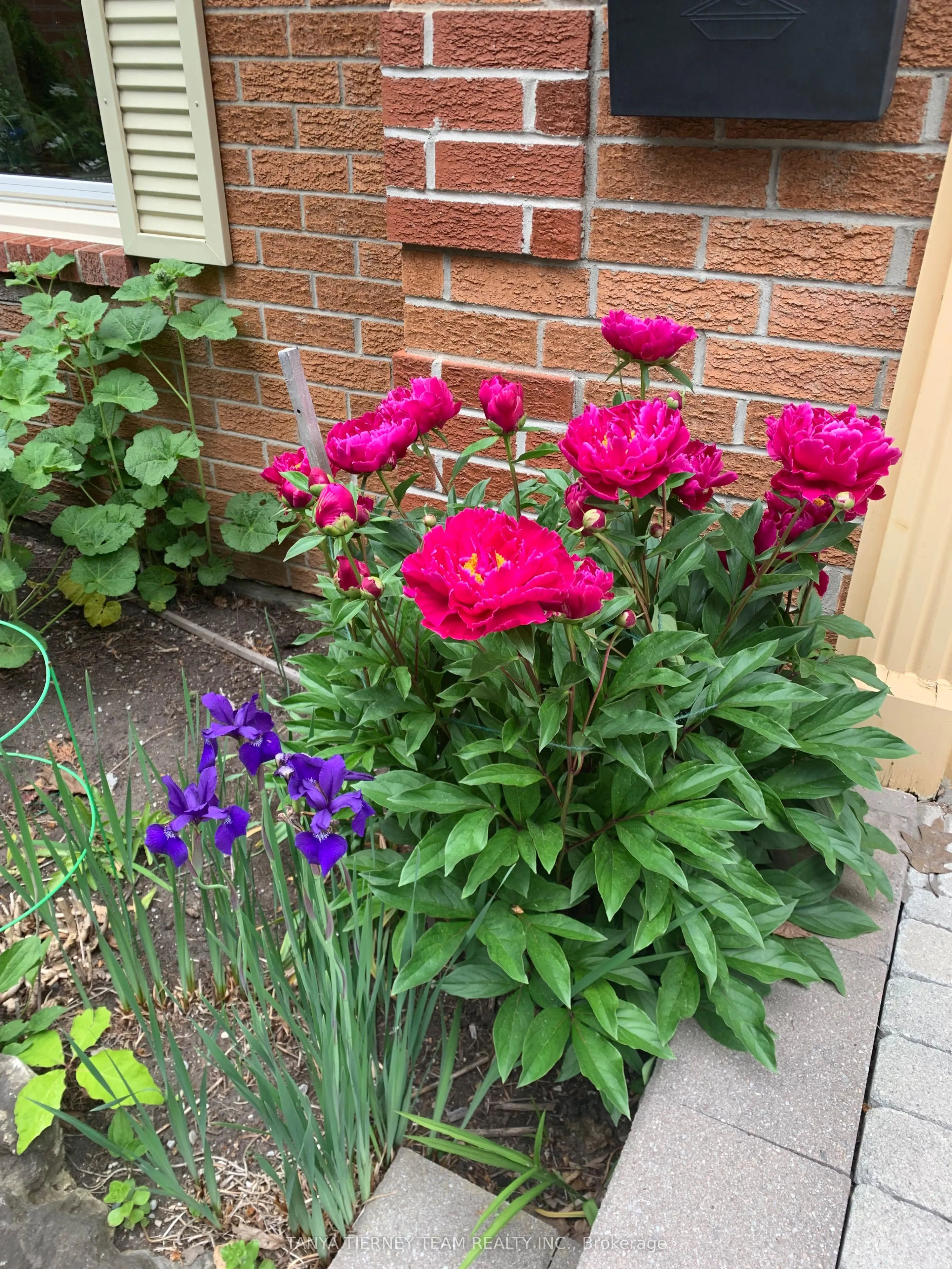 6 Lyndhurst Crescent