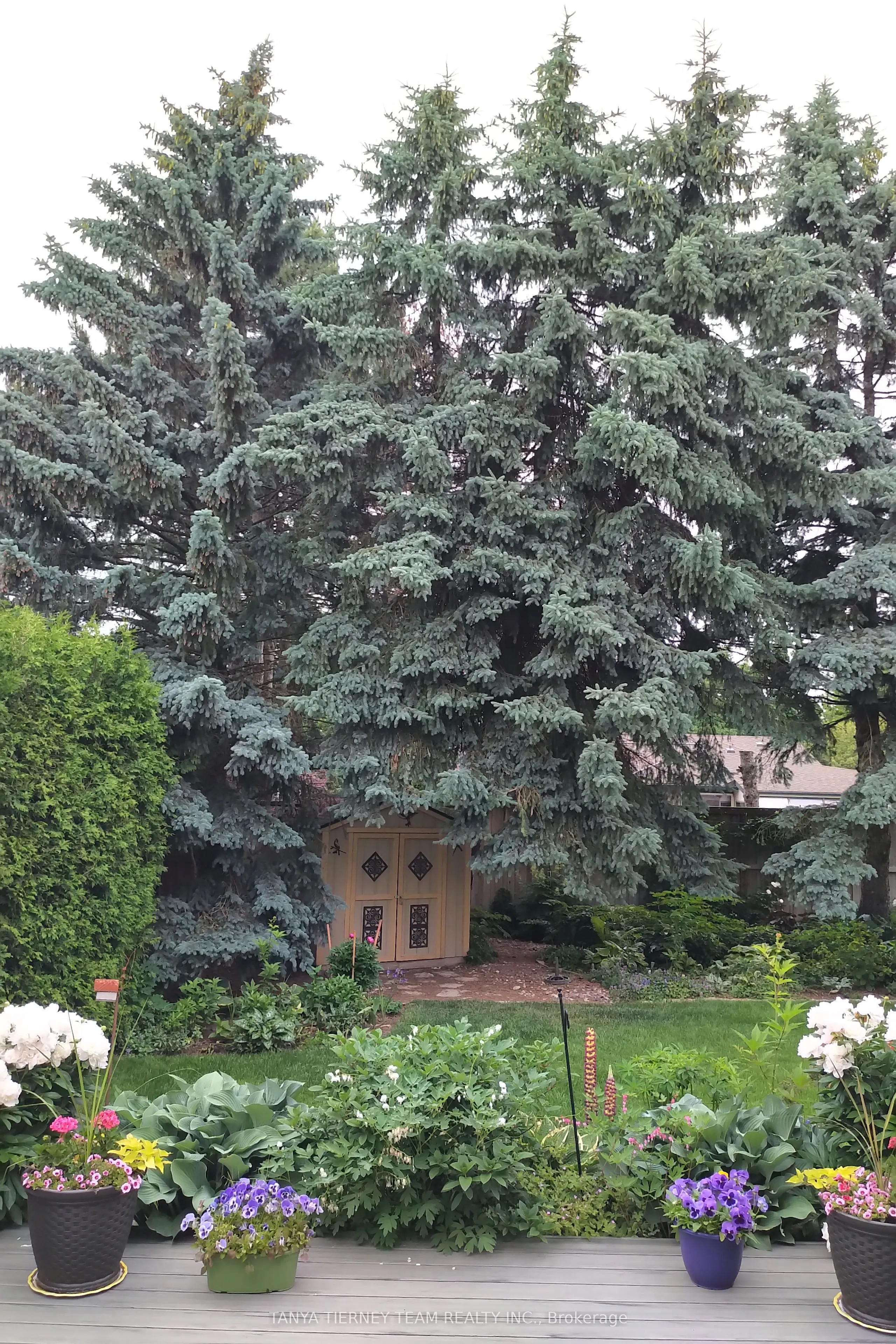 6 Lyndhurst Crescent