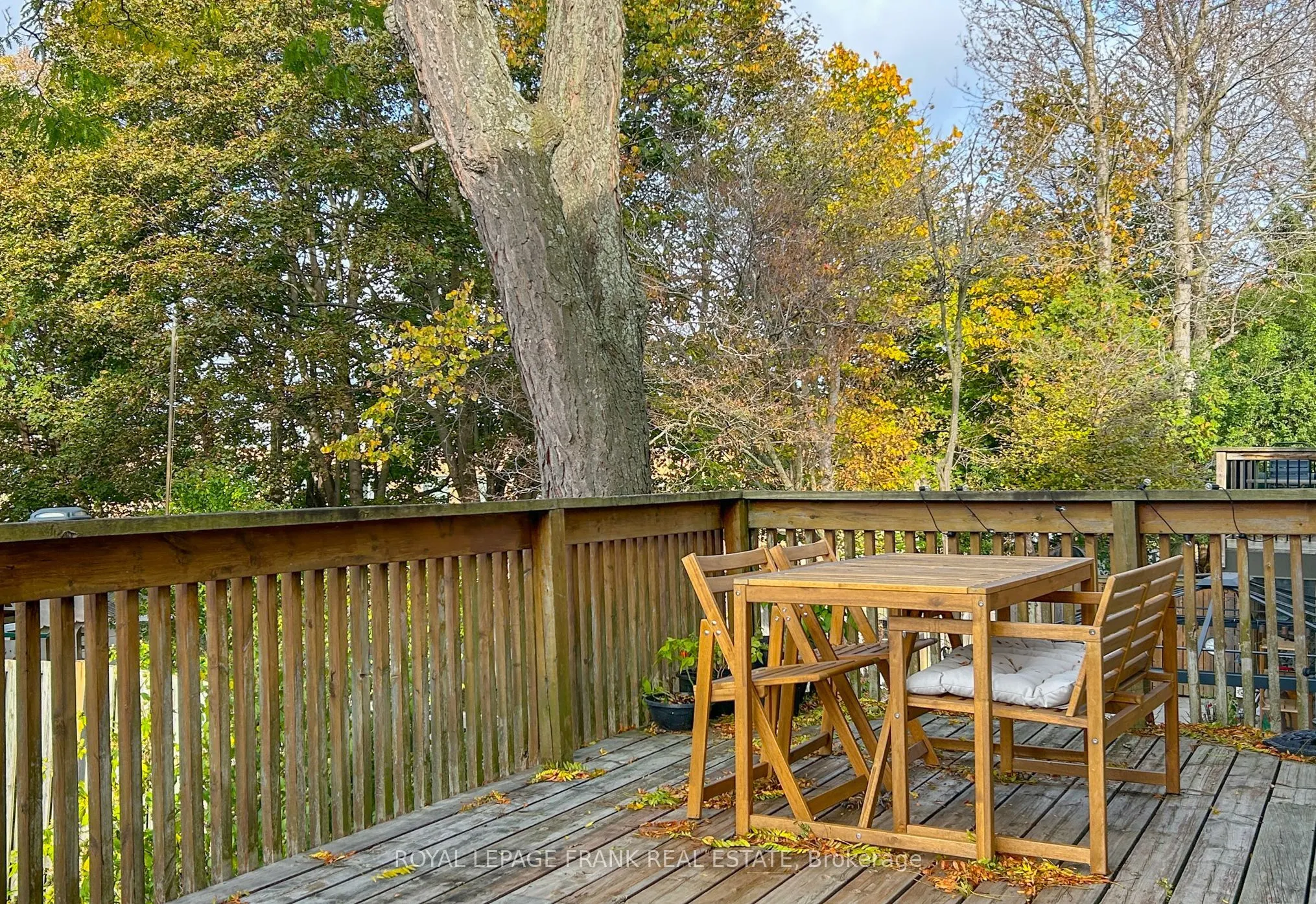 312 Cumberland Court, #Main