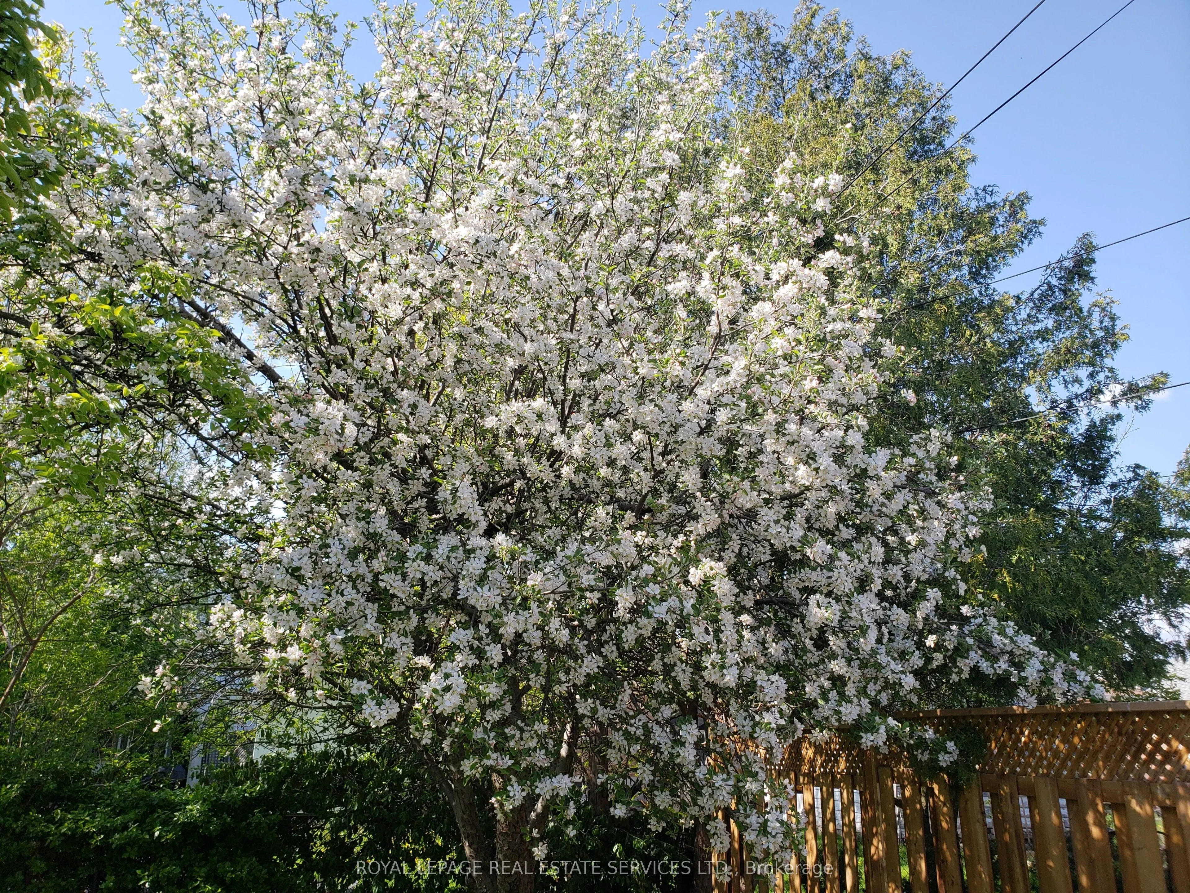 21 Christina Crescent