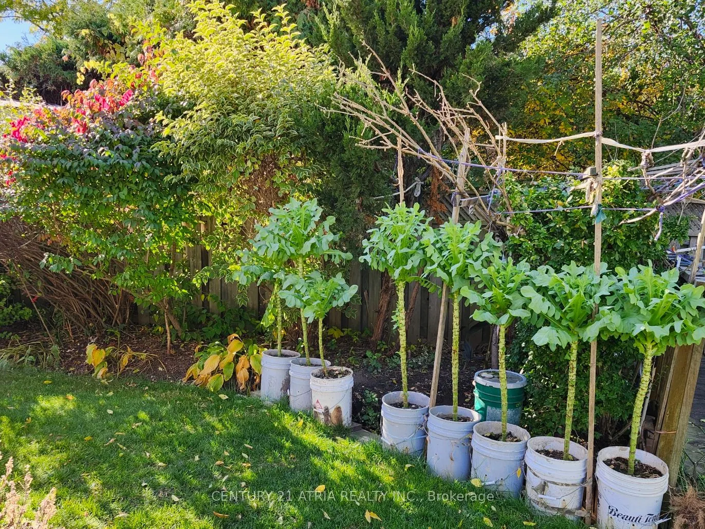 49 Chartland Boulevard S