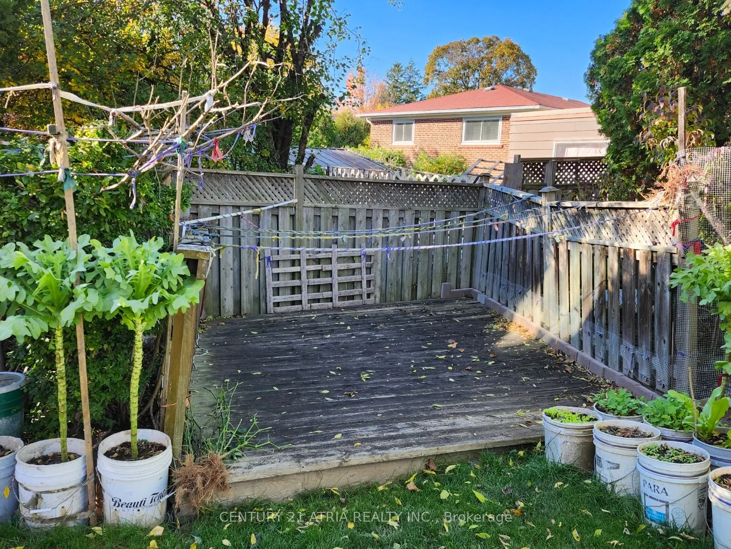 49 Chartland Boulevard S