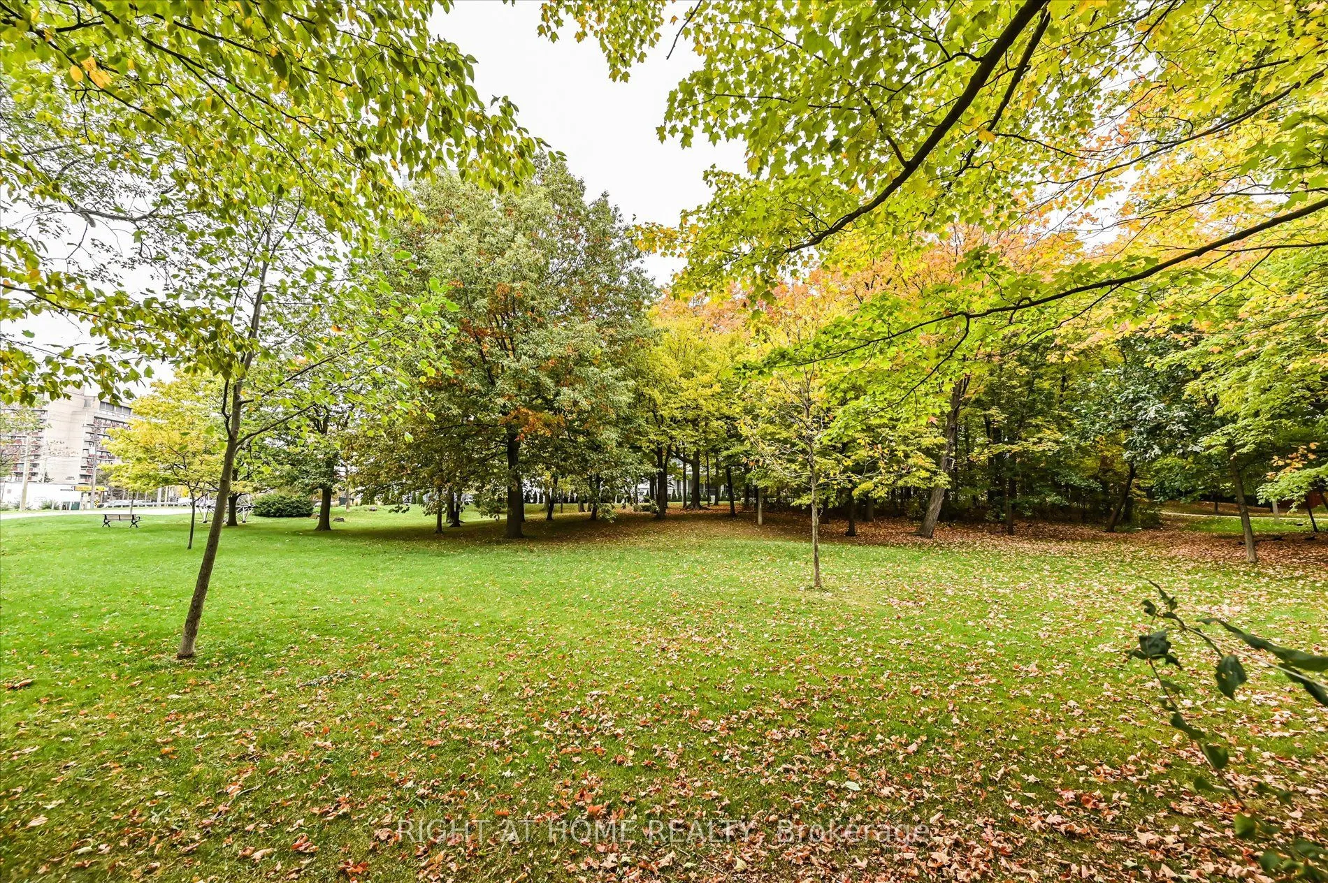 173 Wishing Well Drive