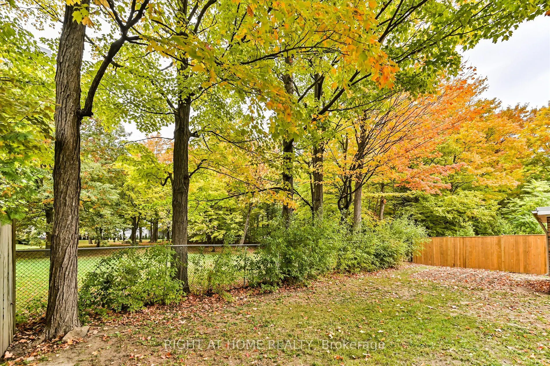 173 Wishing Well Drive