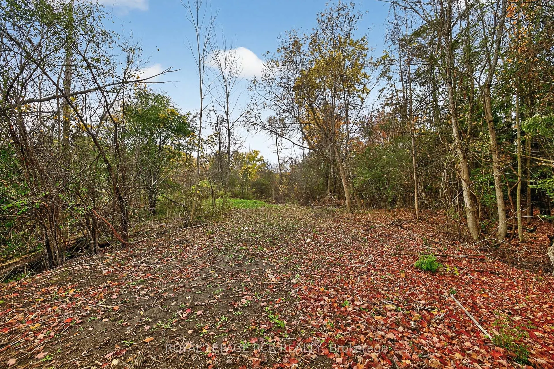 4560 Anderson St Street