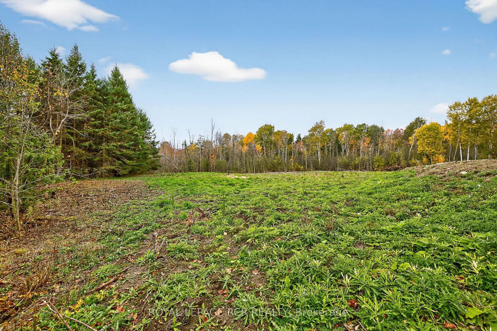 4560 Anderson St Street