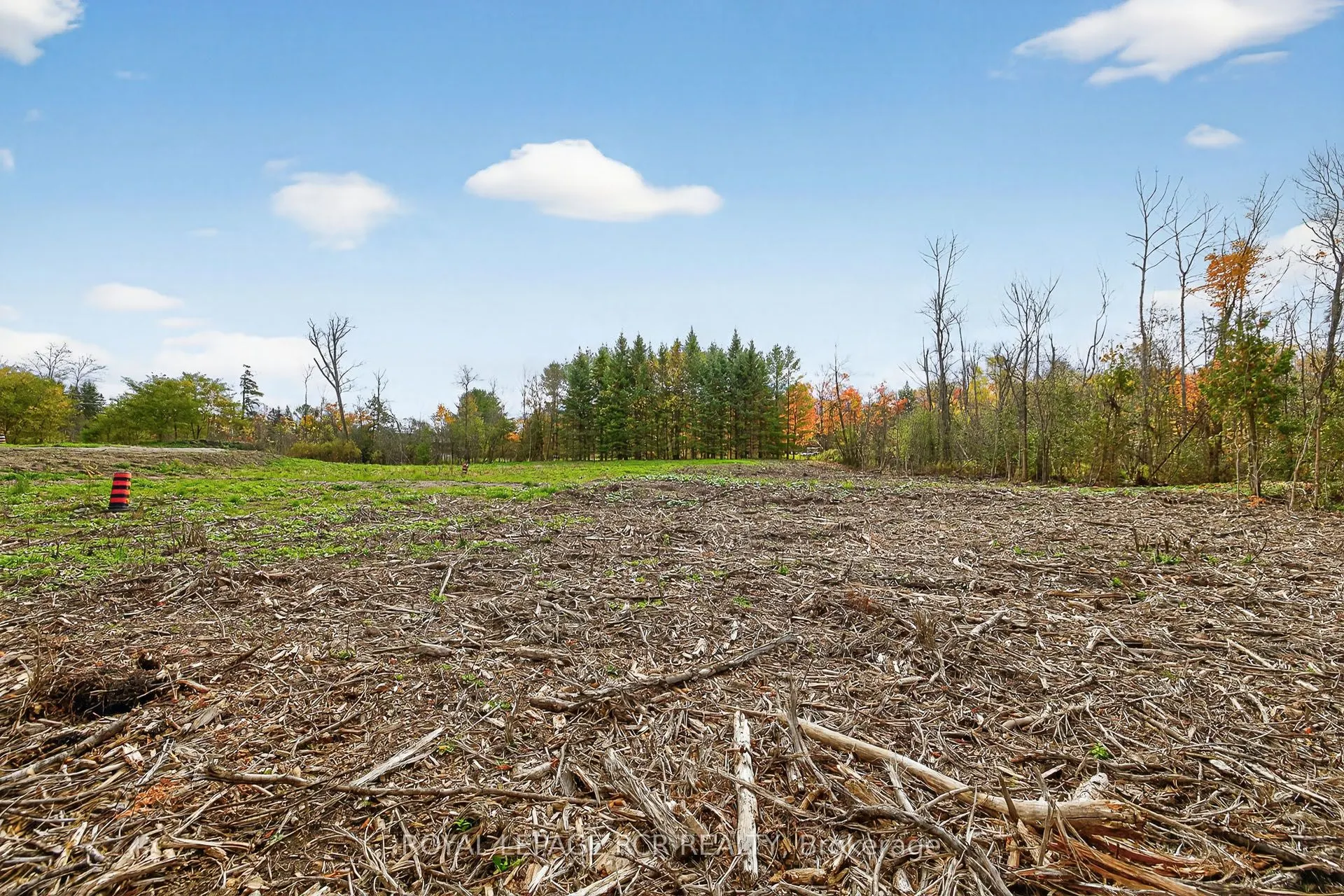 4560 Anderson St Street