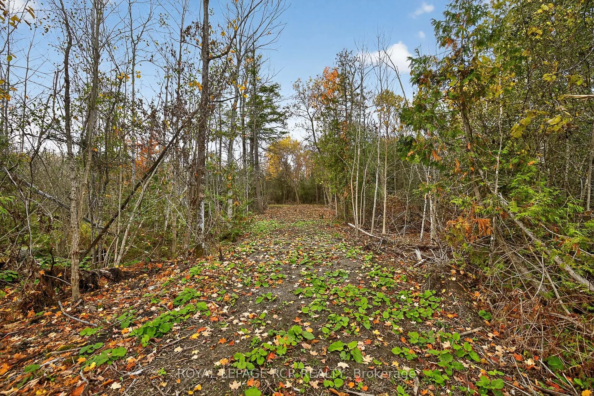 4560 Anderson St Street