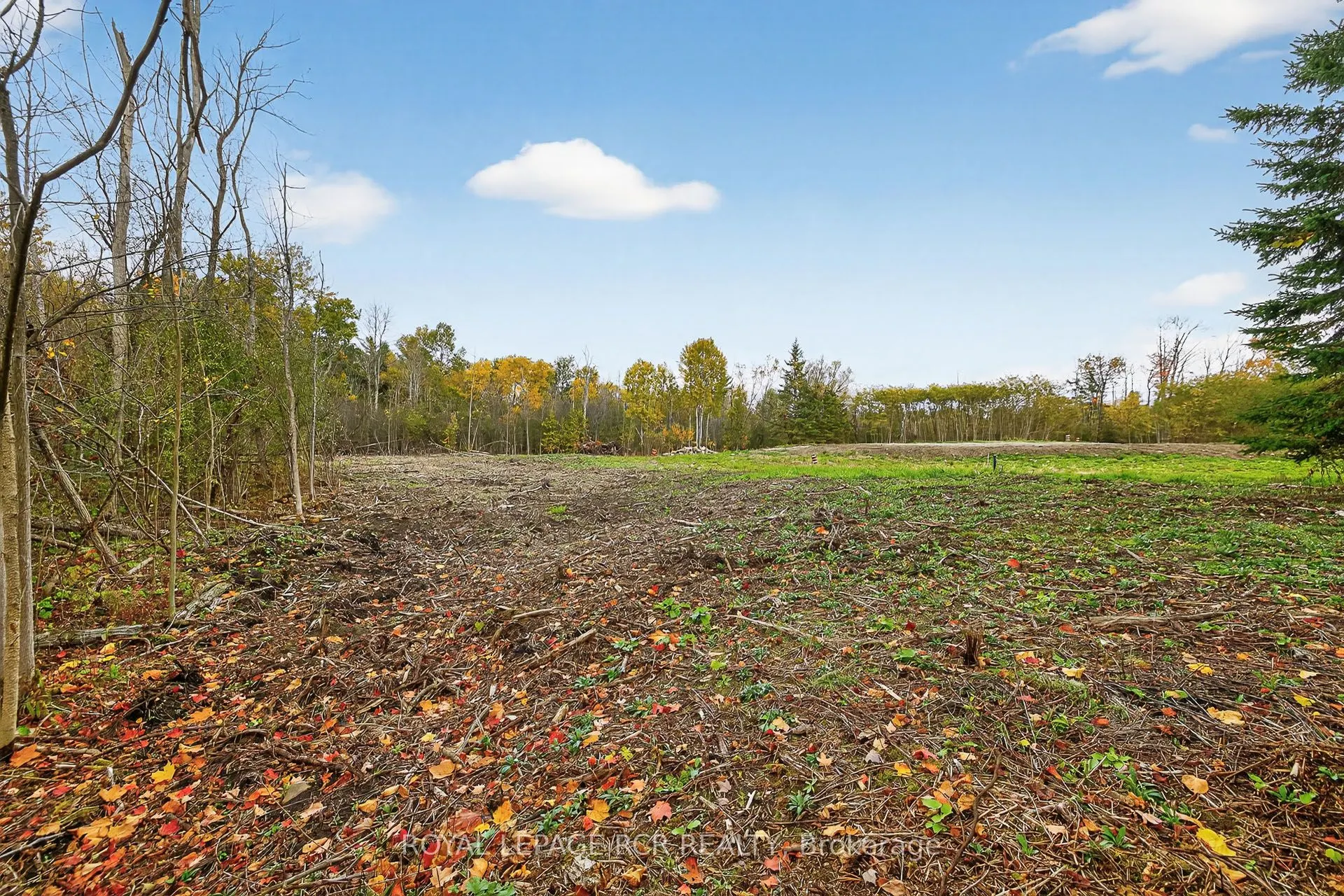 4560 Anderson St Street