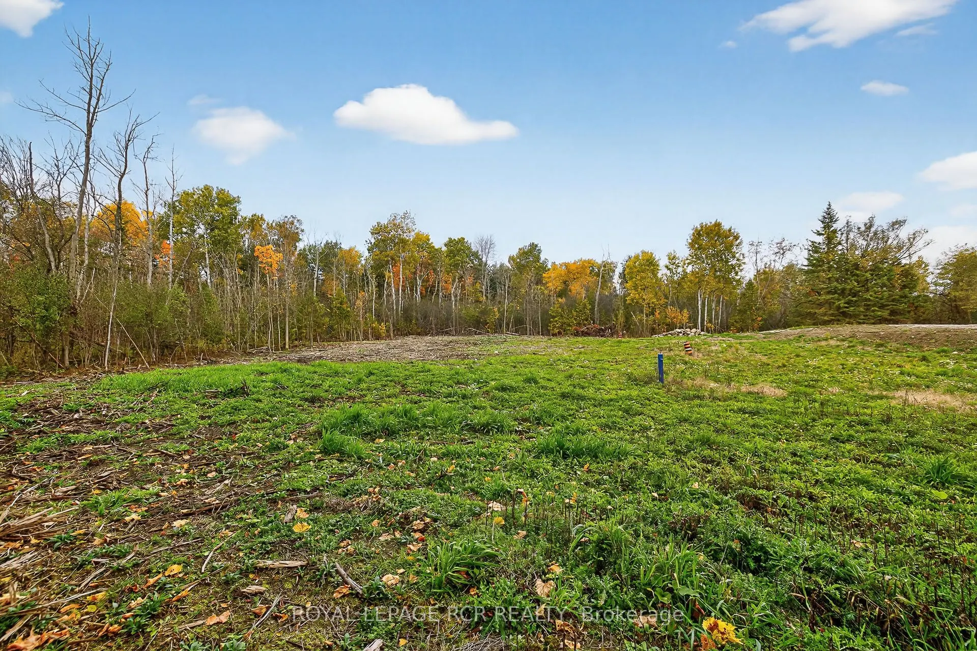 4560 Anderson St Street