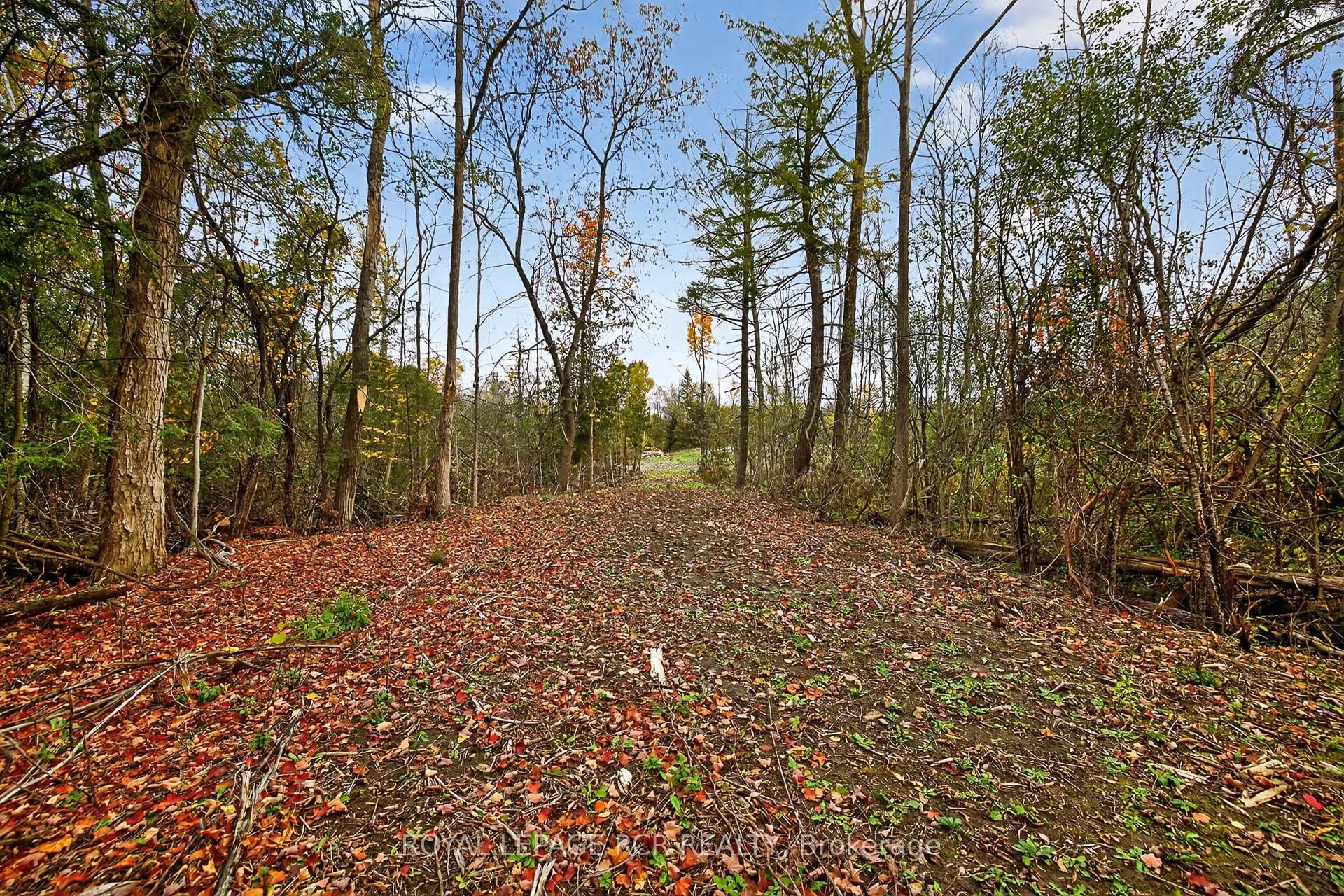 4560 Anderson St Street