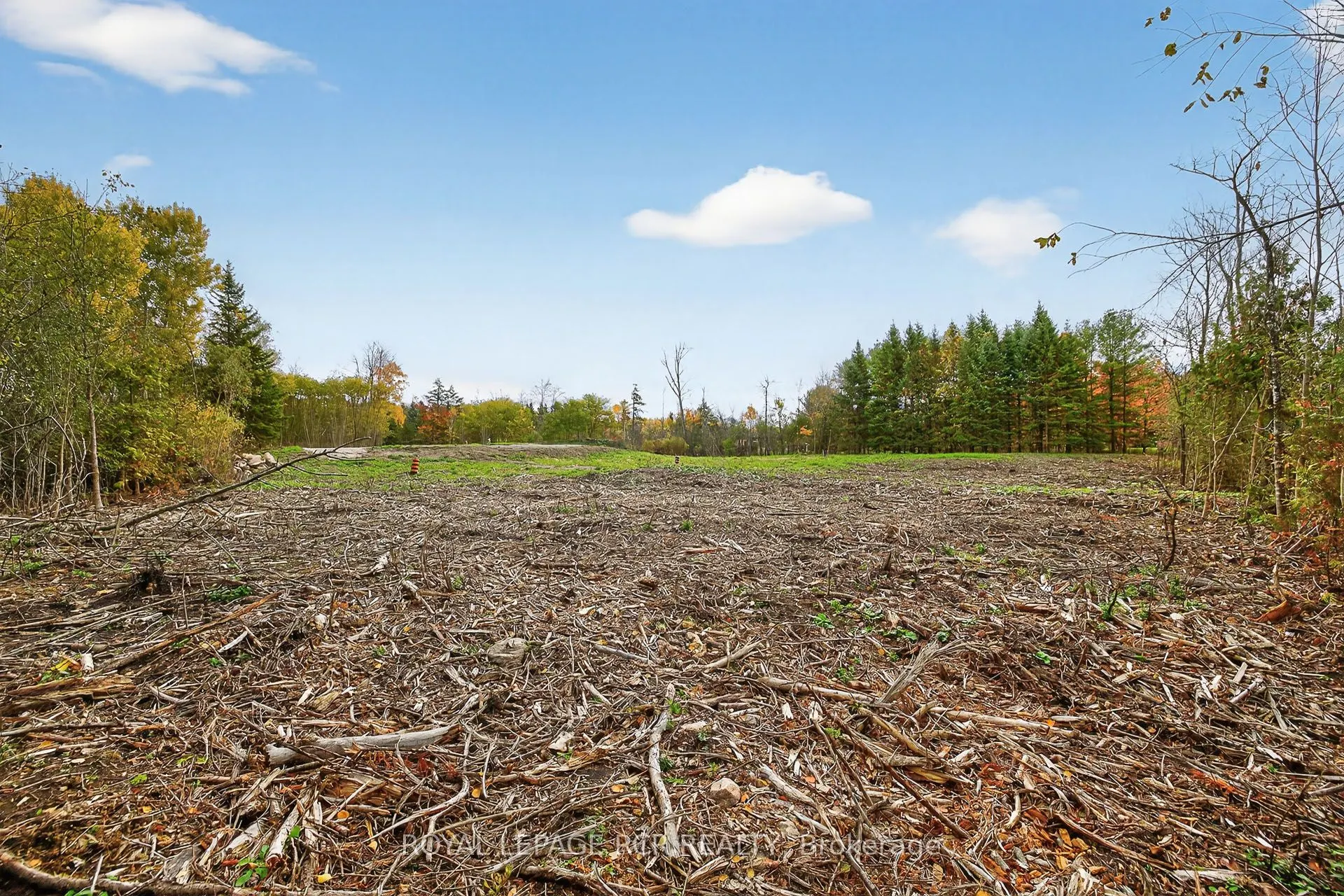 4560 Anderson St Street