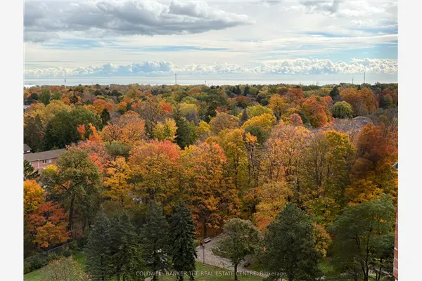 121 Ling Road, #1211