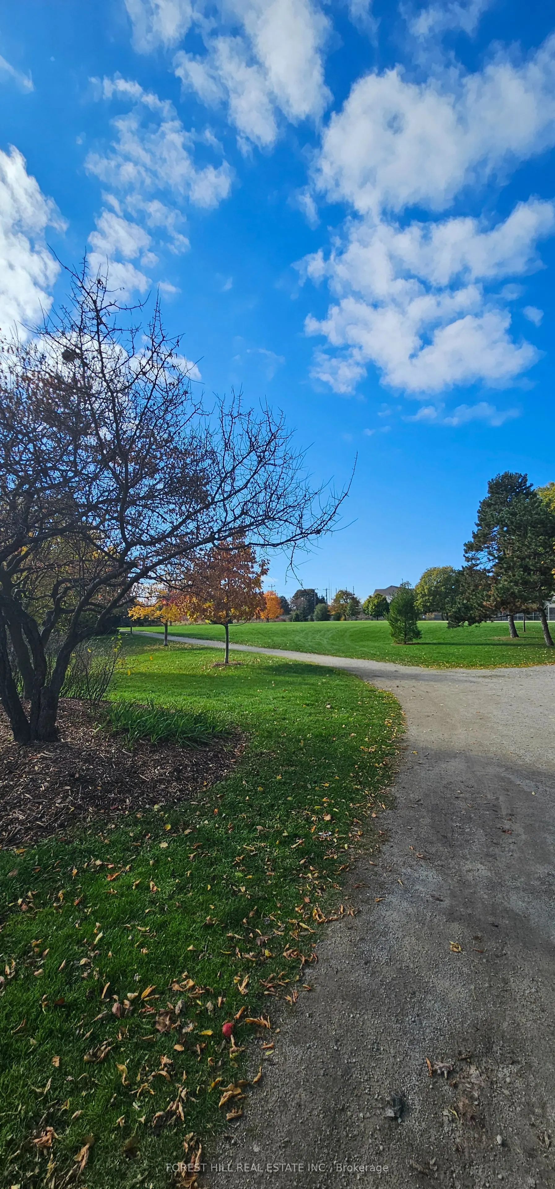 101 Prudential Drive, #1211