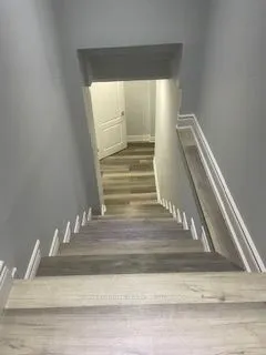 6 Macdermott Drive, #(Bsmt)