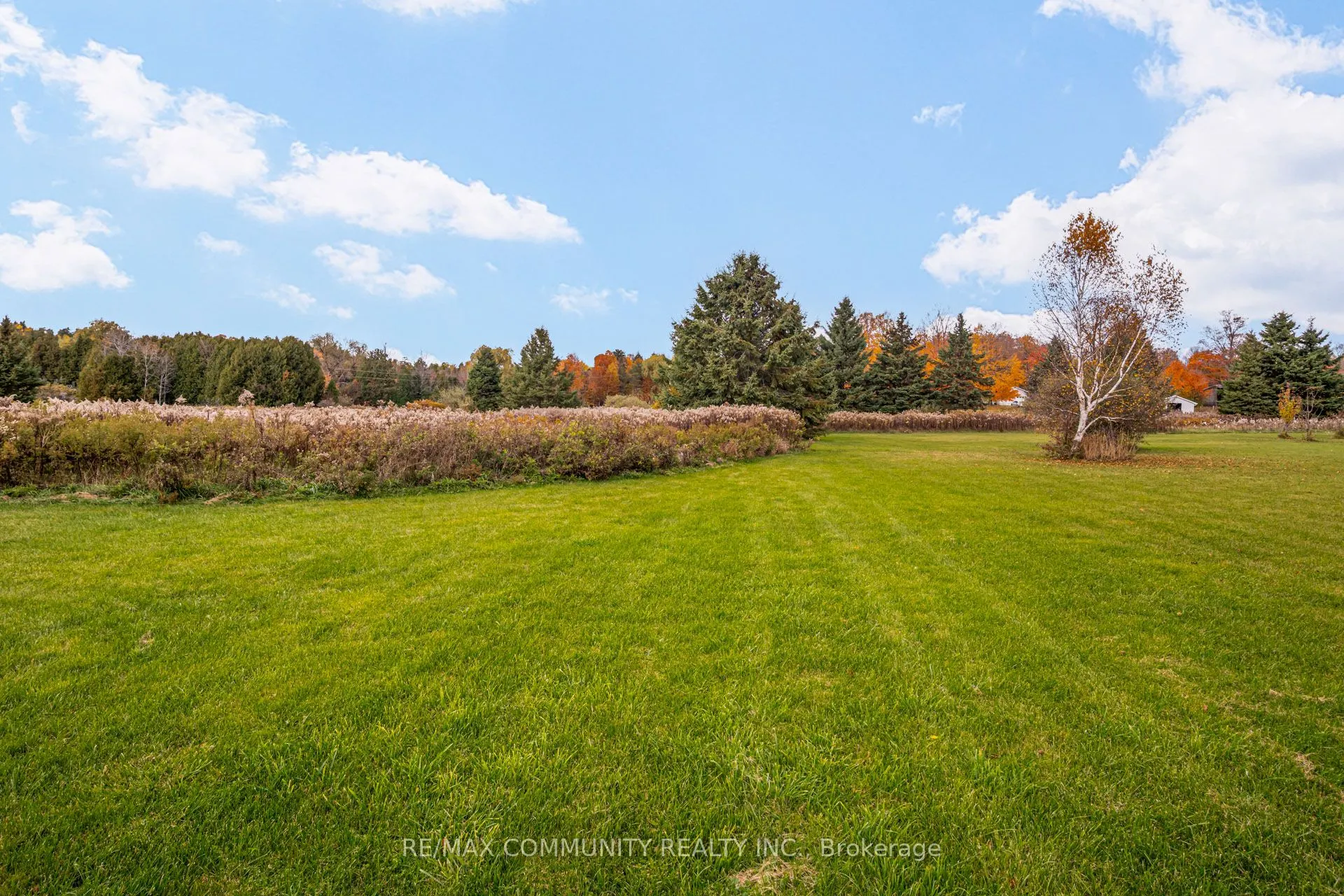 3504 Concession Road, #8