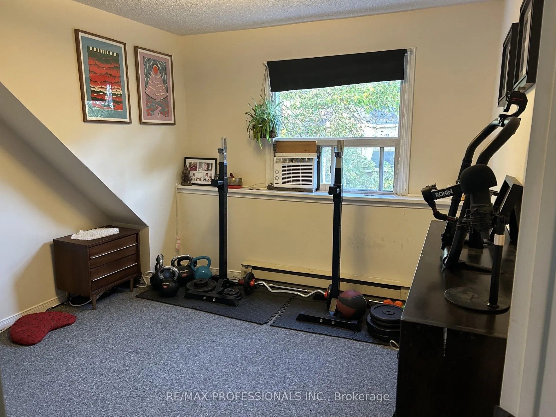 41 Albermarle Avenue, #4