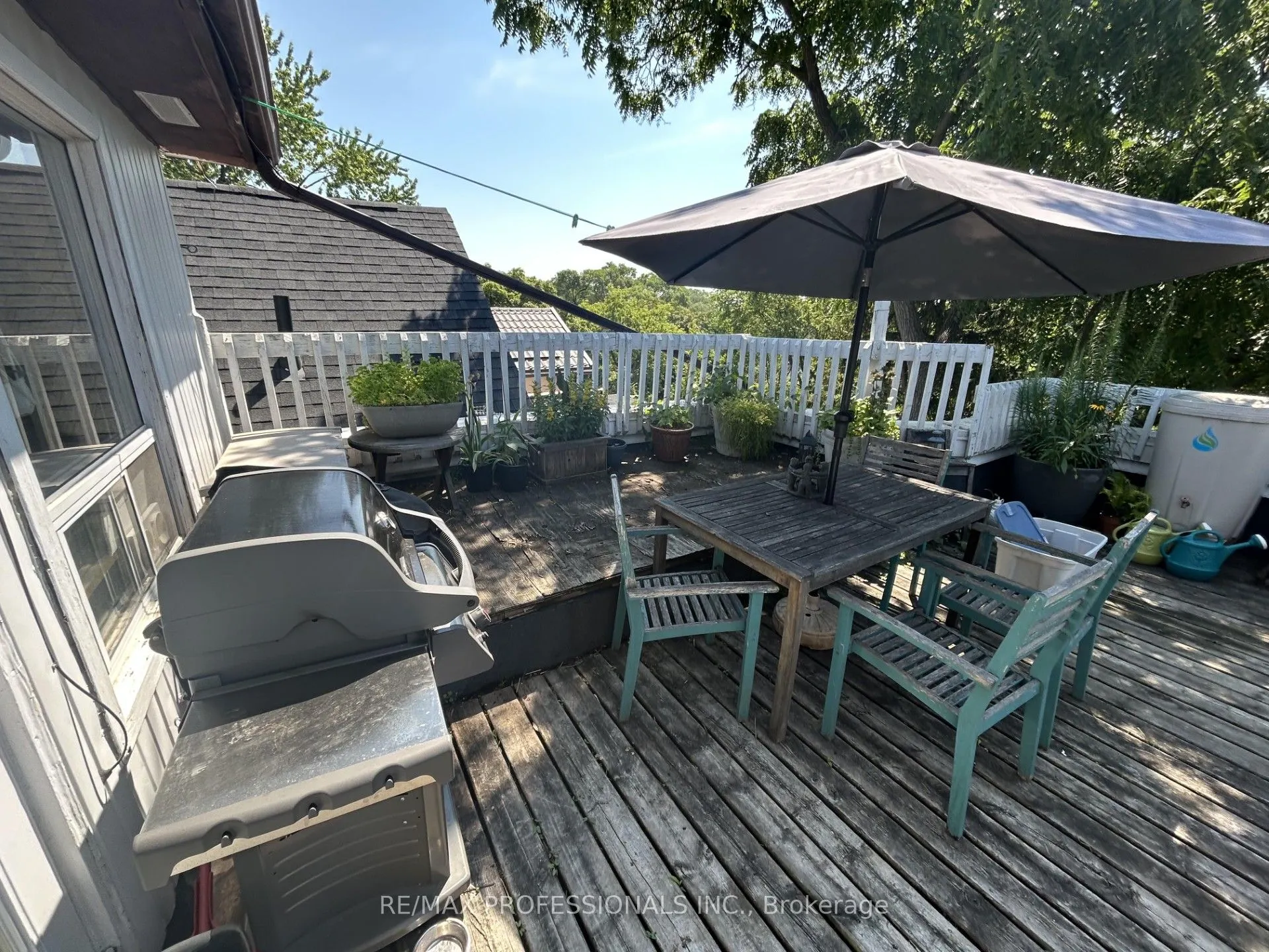 41 Albermarle Avenue, #4