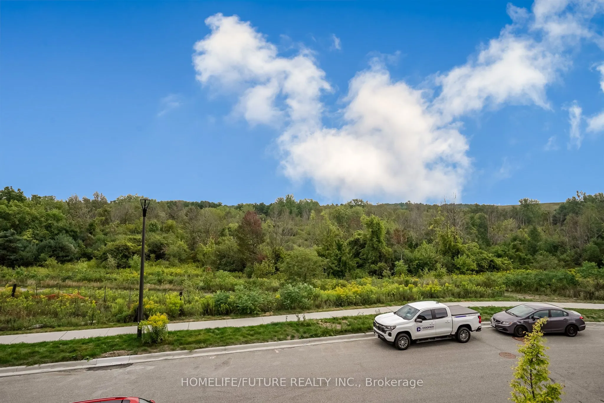 2626 Delphinium Trail