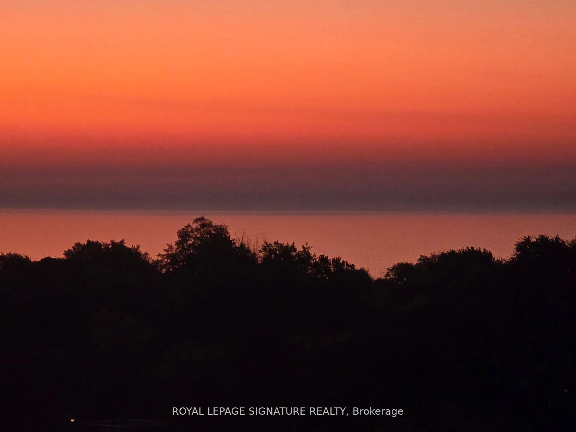 2799 Kingston Road, #905