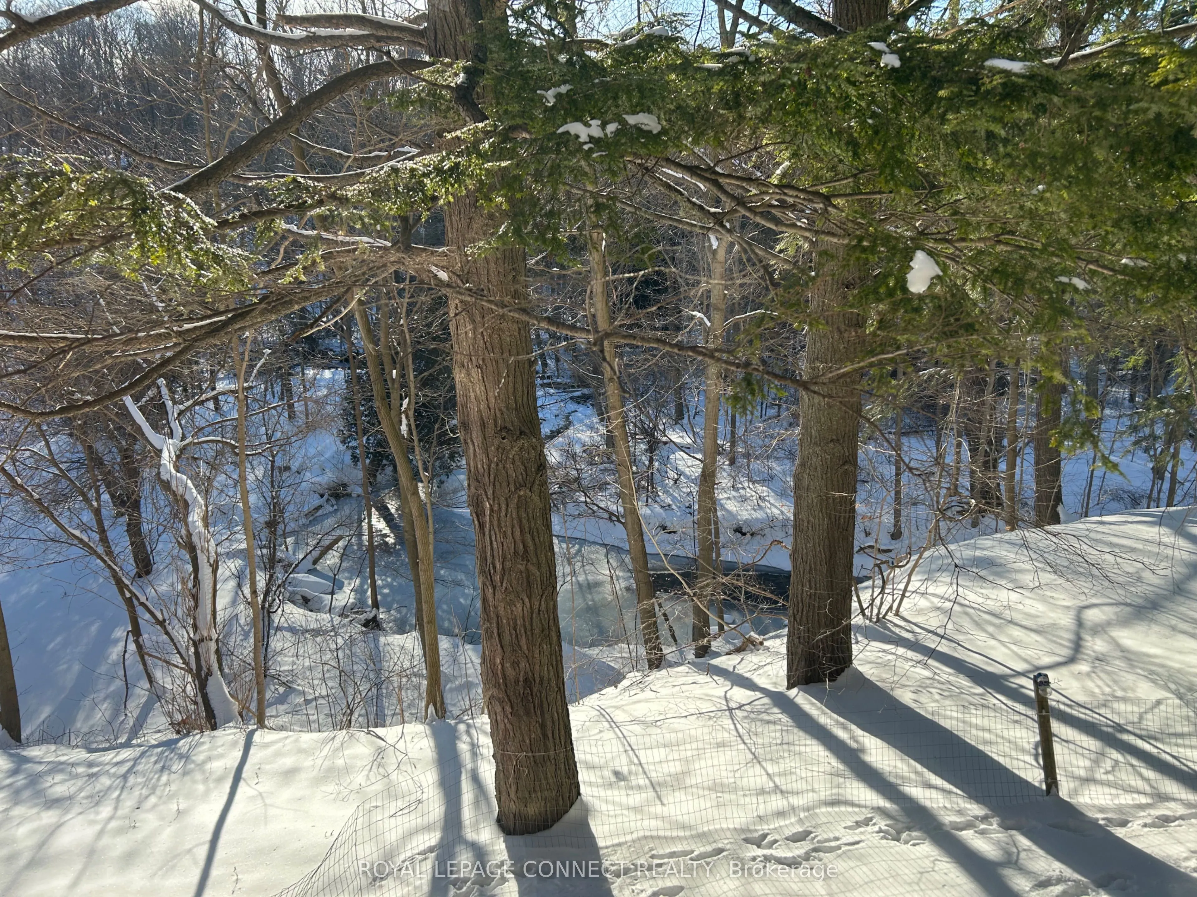 1436 Highbush Trail