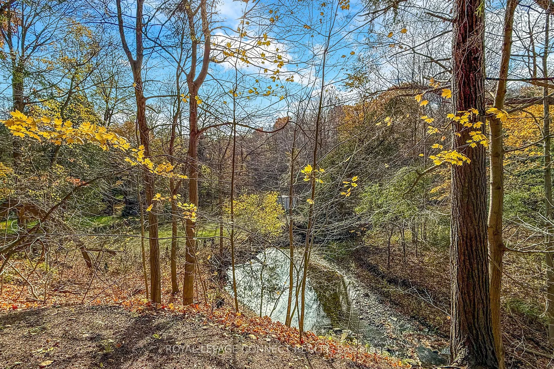 1436 Highbush Trail