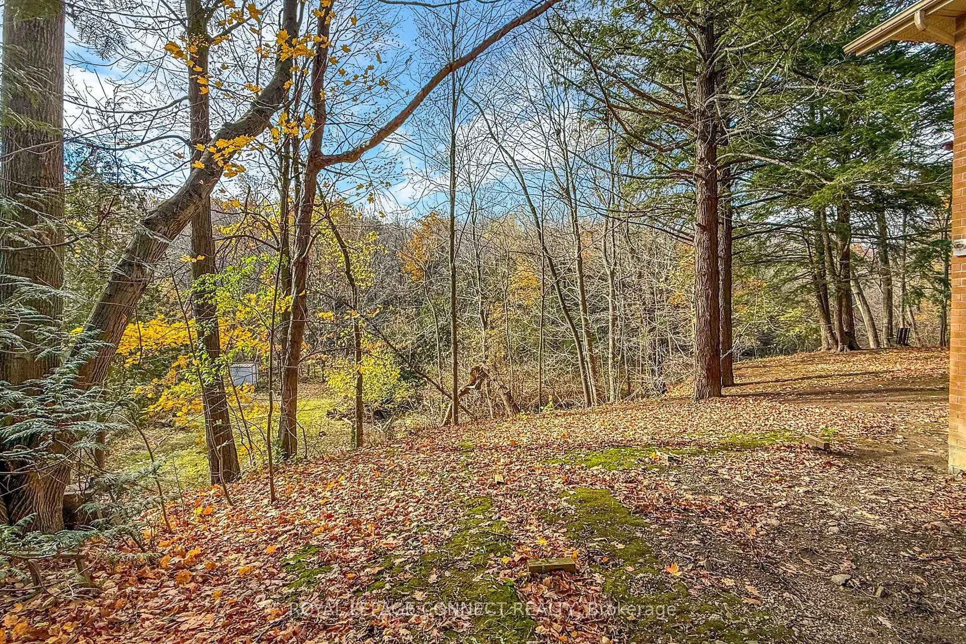 1436 Highbush Trail