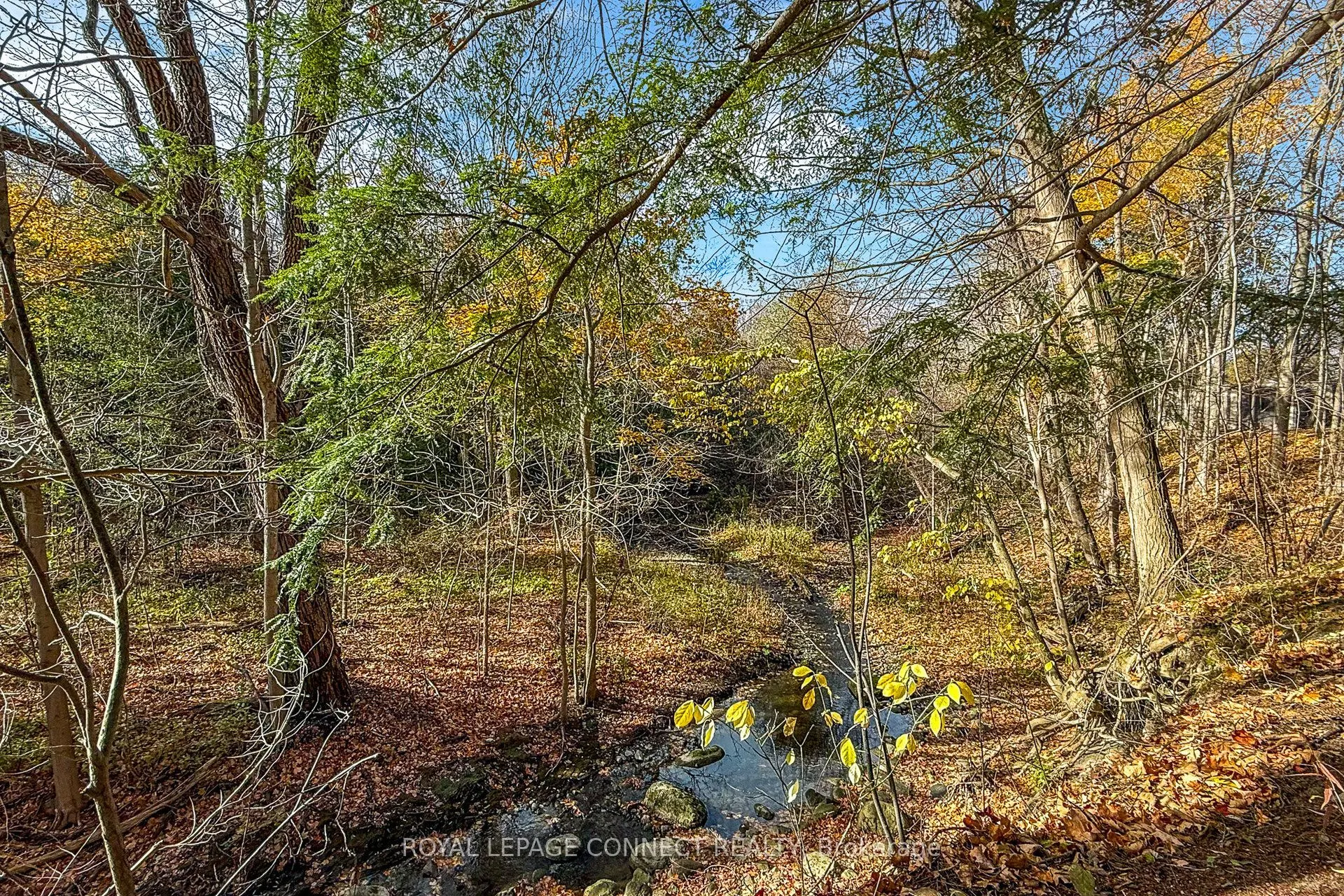 1436 Highbush Trail
