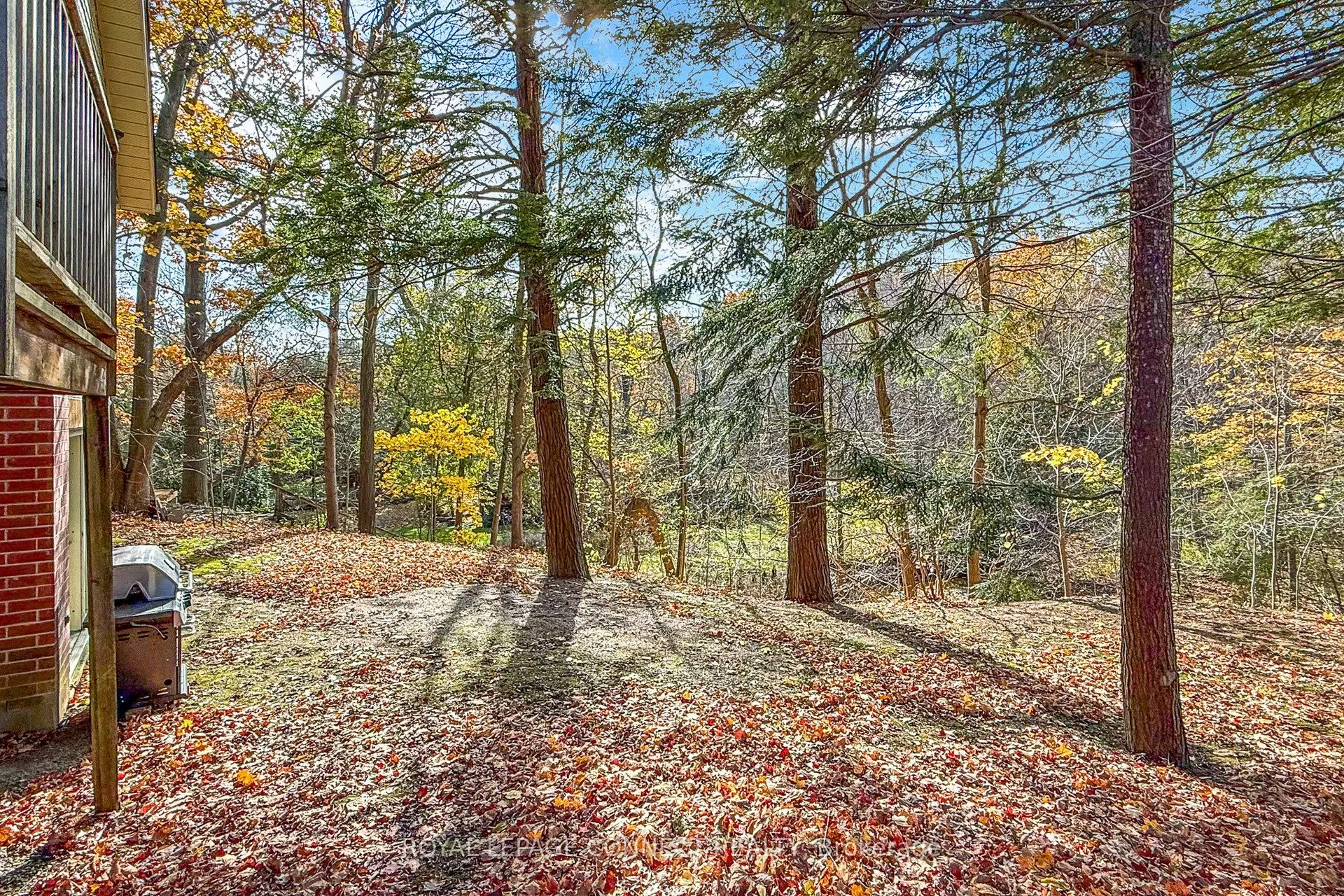 1436 Highbush Trail