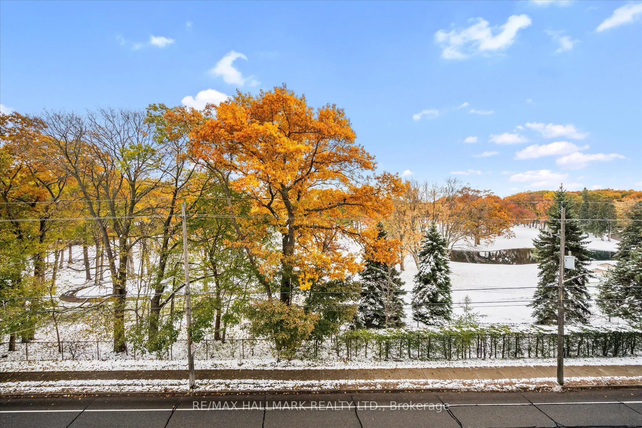 1350 Kingston Road #409