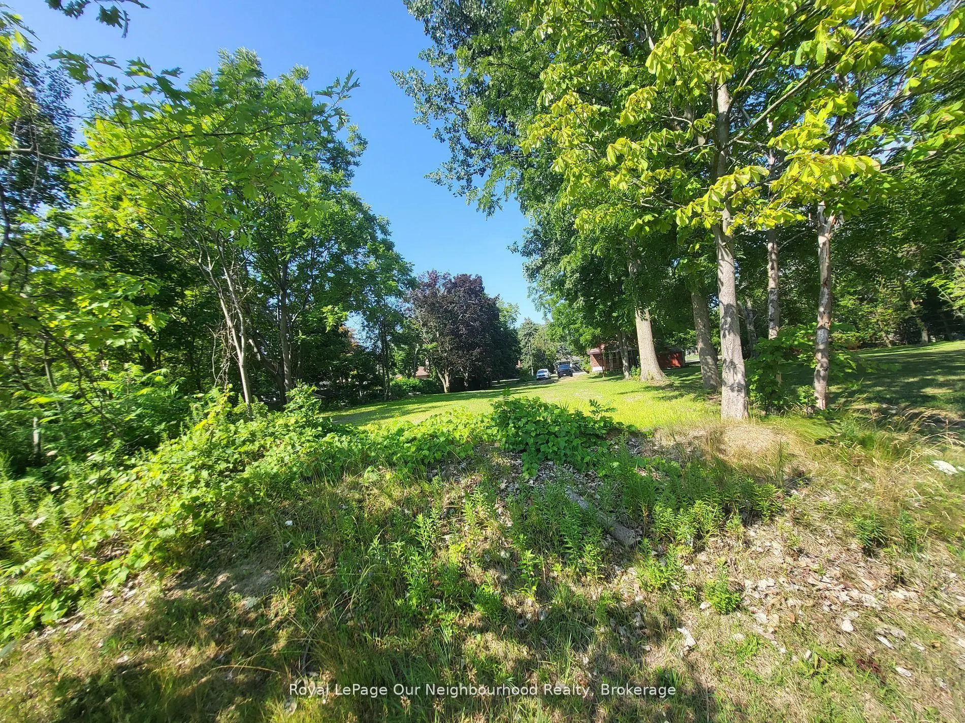 54 Redfern Crescent