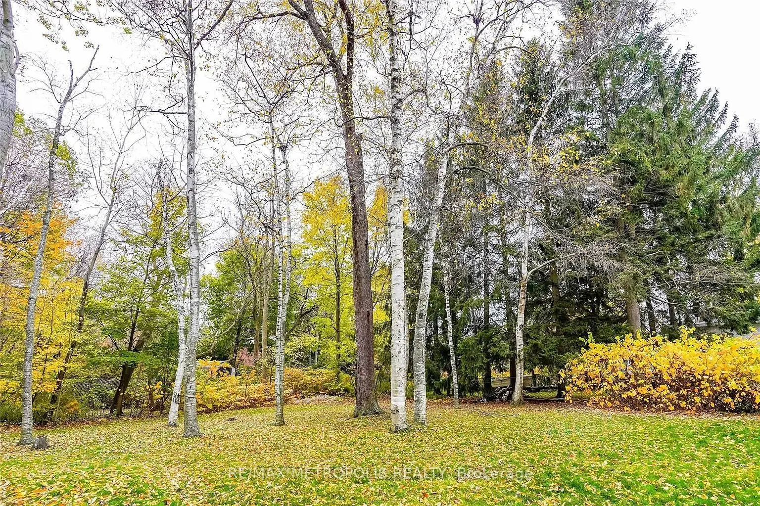 366 Beechgrove Drive