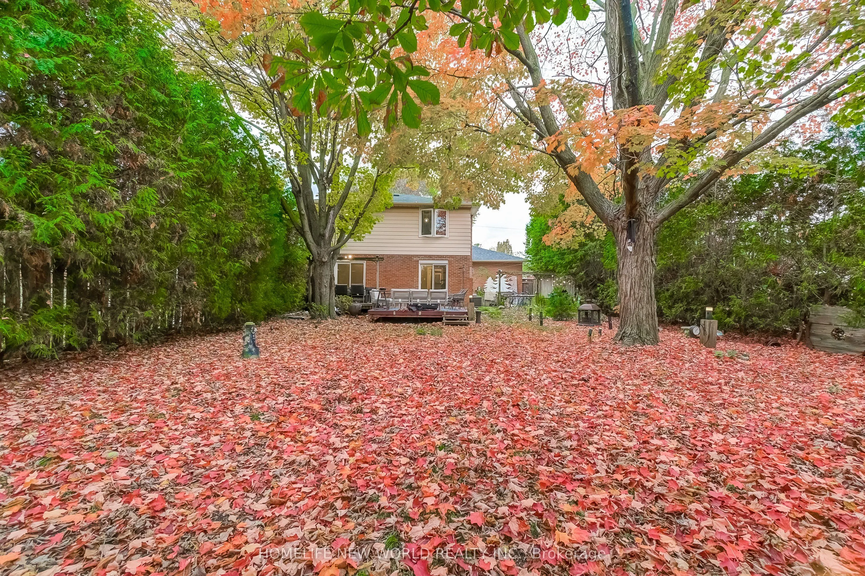 59 Bobmar Road