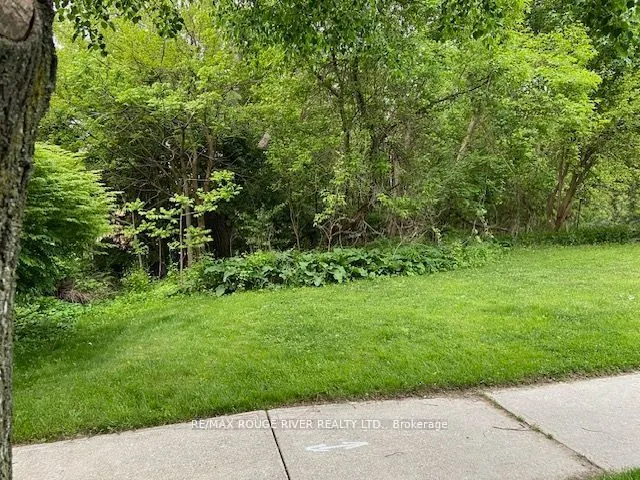 72 Meadowvale Road