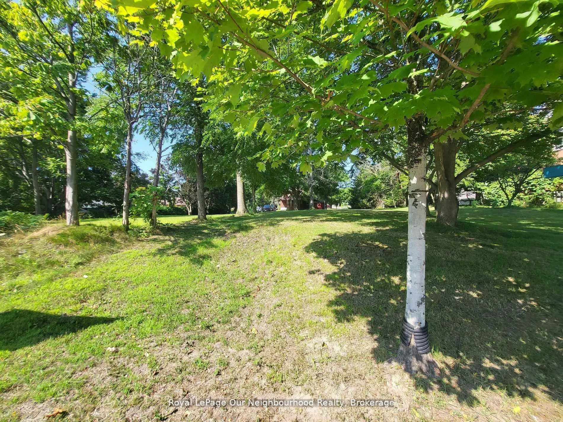221A Liberty Street N