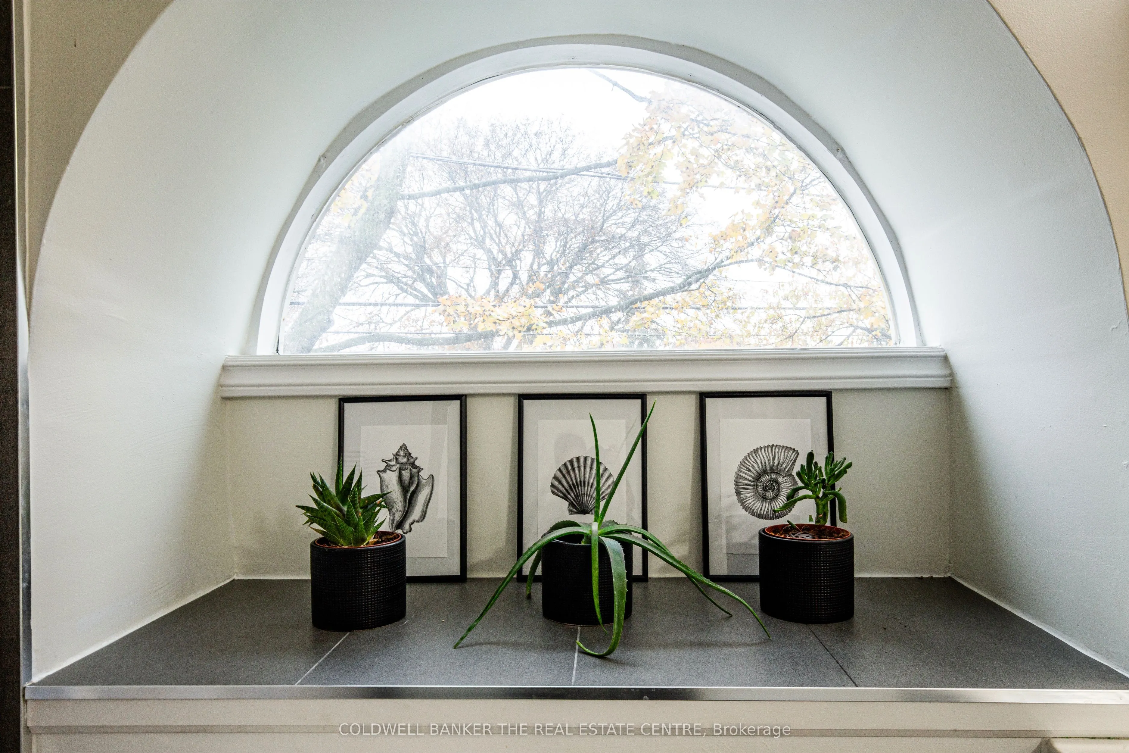 45 Birchmount Road #6