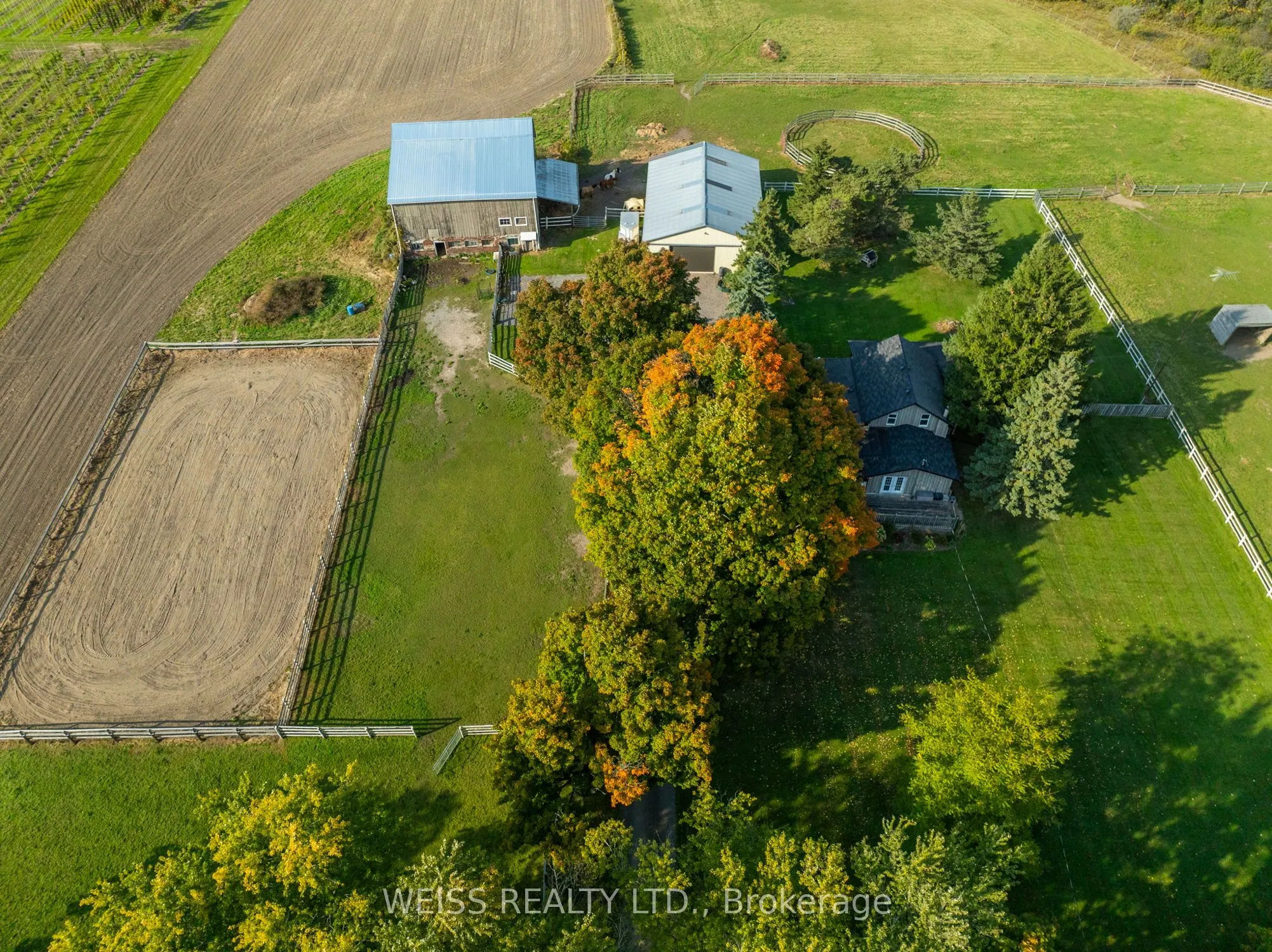 772 Townline Road W