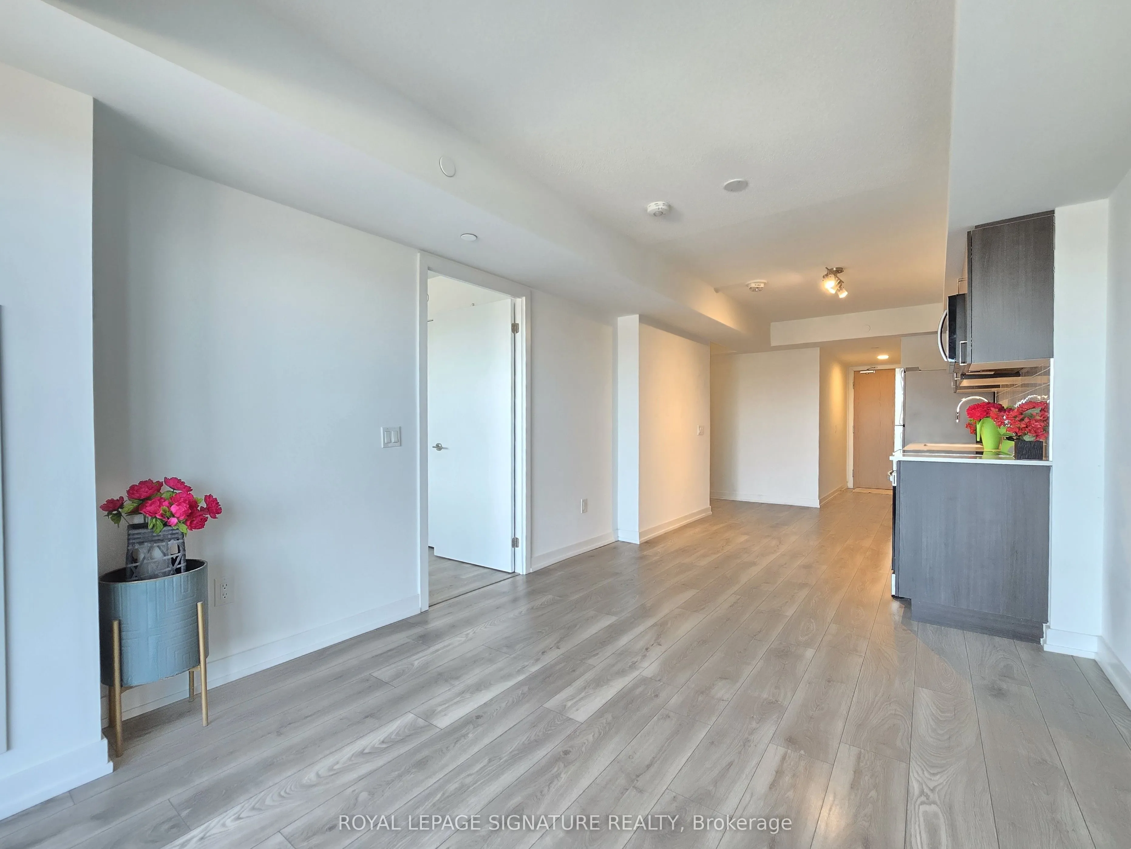 1455 Celebration Drive #217