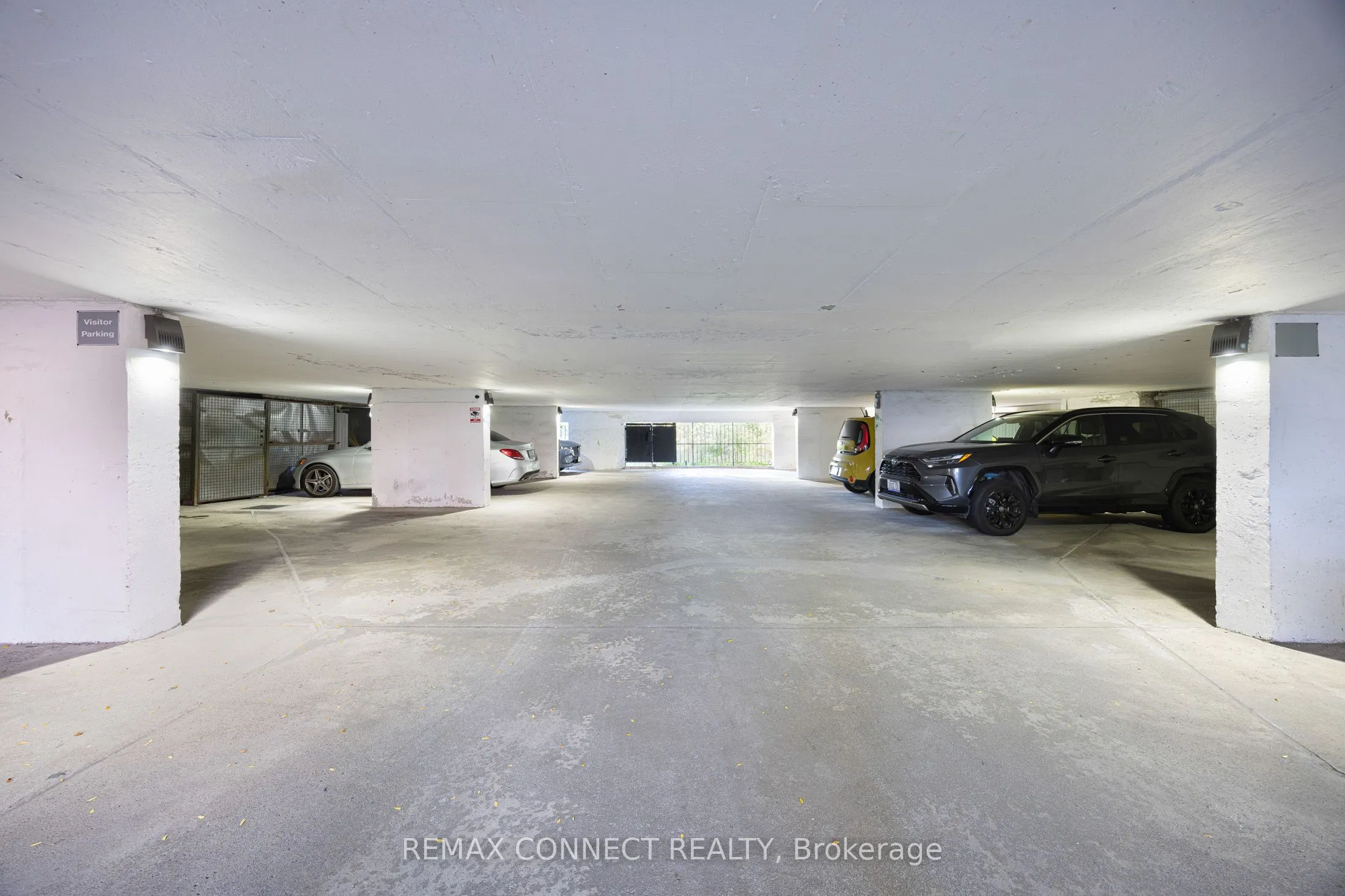 517 Kingston Road #4