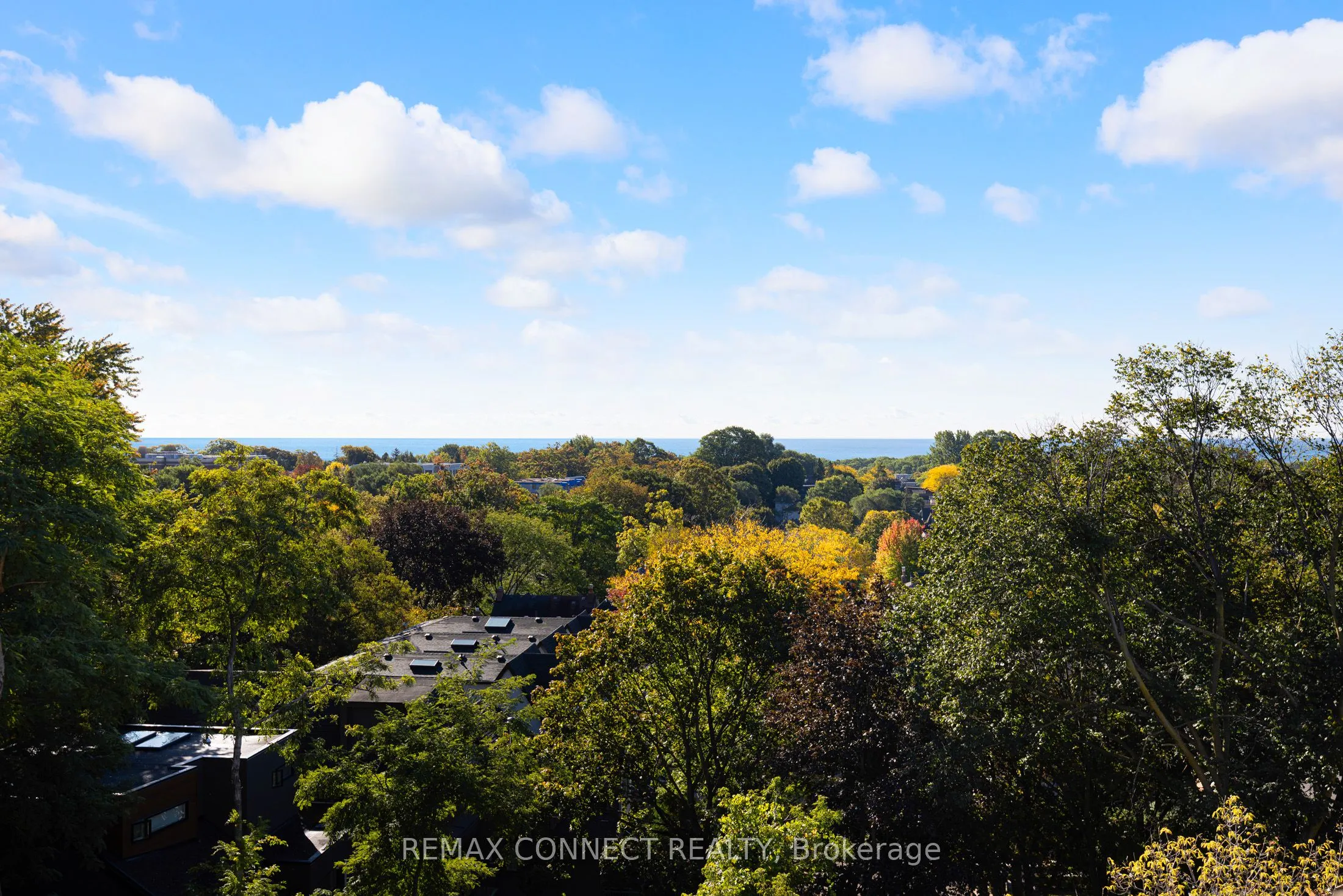 517 Kingston Road #4
